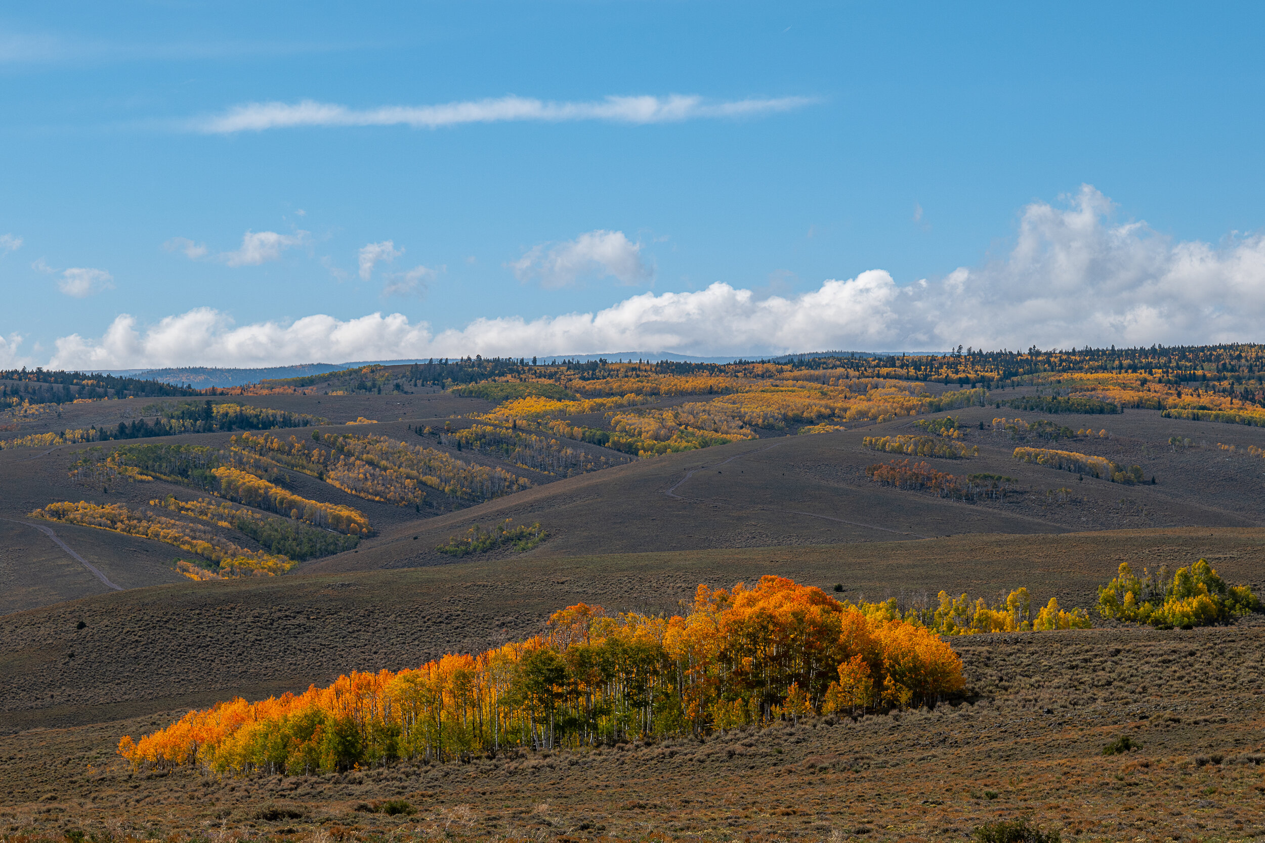 The Colors of Utah 2