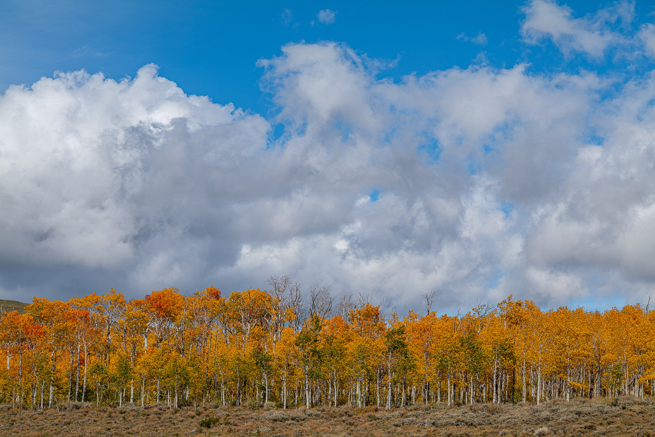 The Colors of Utah 3