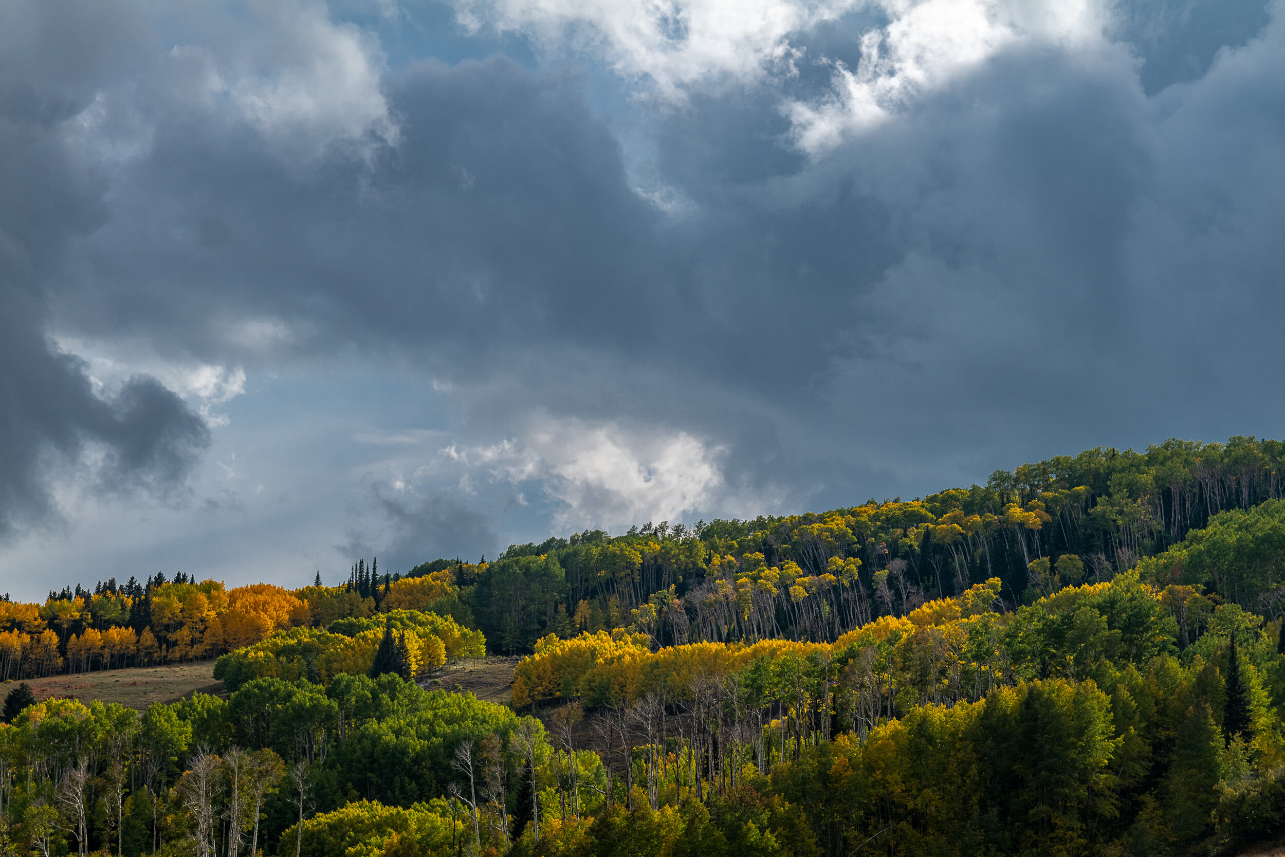 The Colors of Utah 4