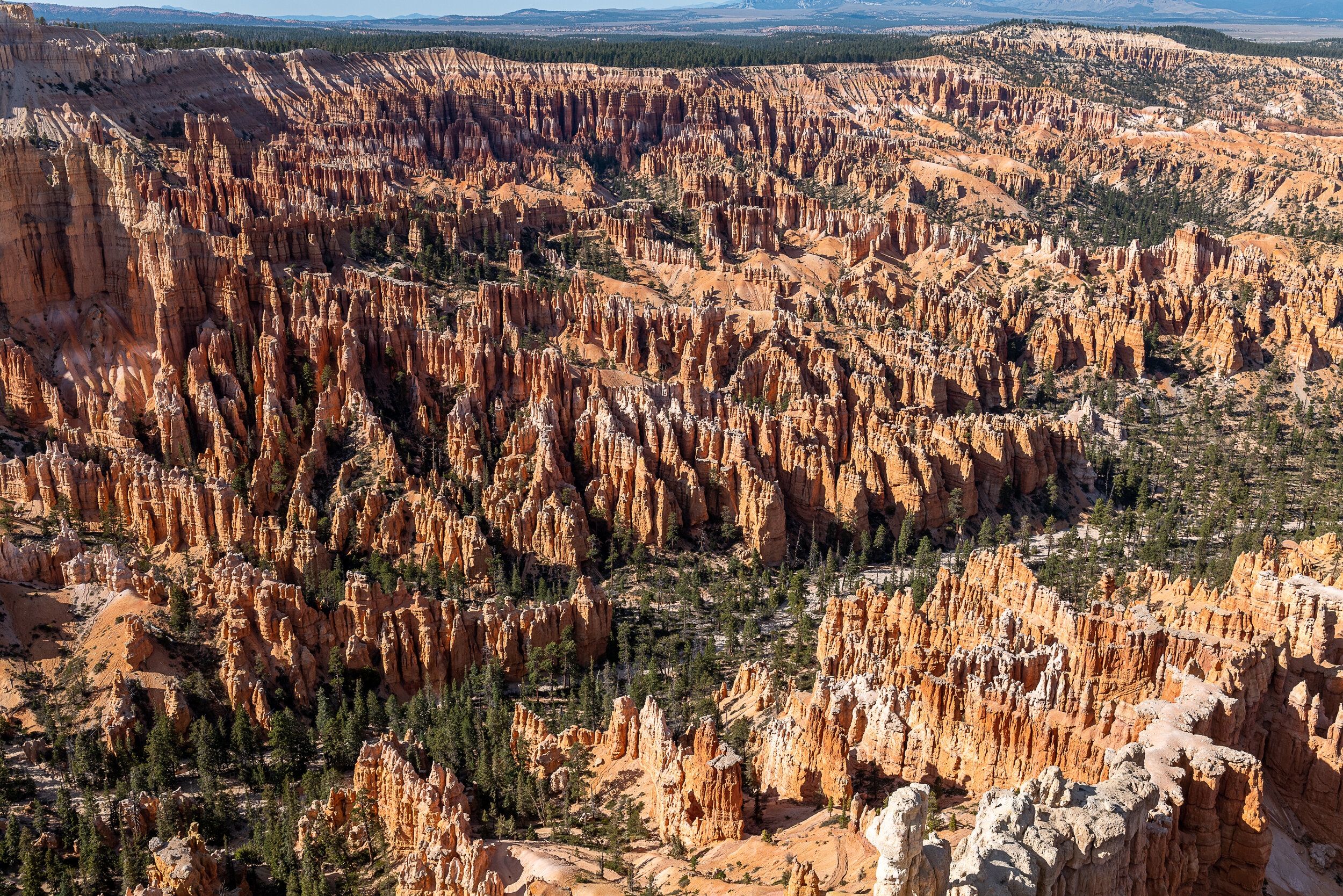 From Bryce Point
