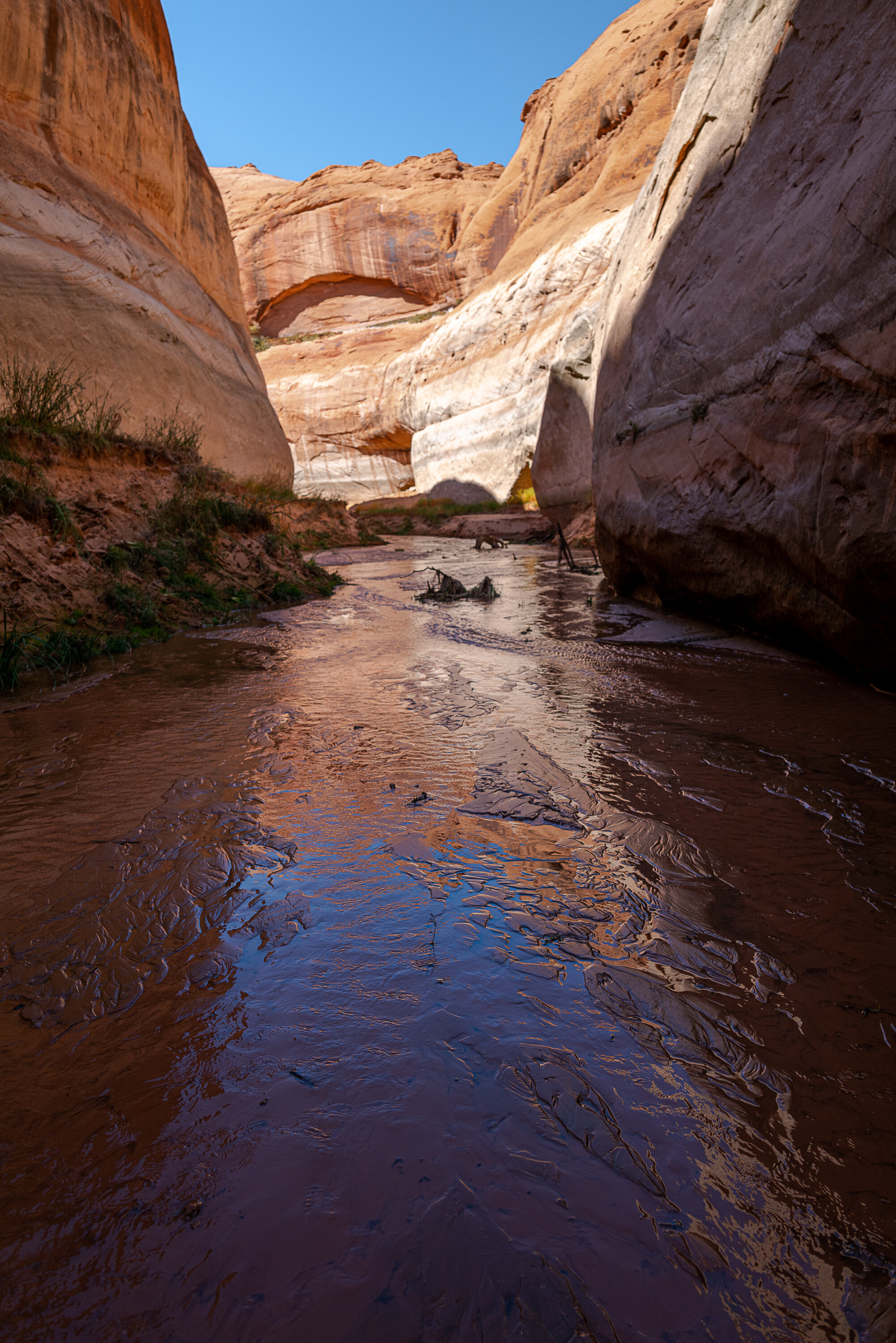 In Davis Gulch, Glen Canyon