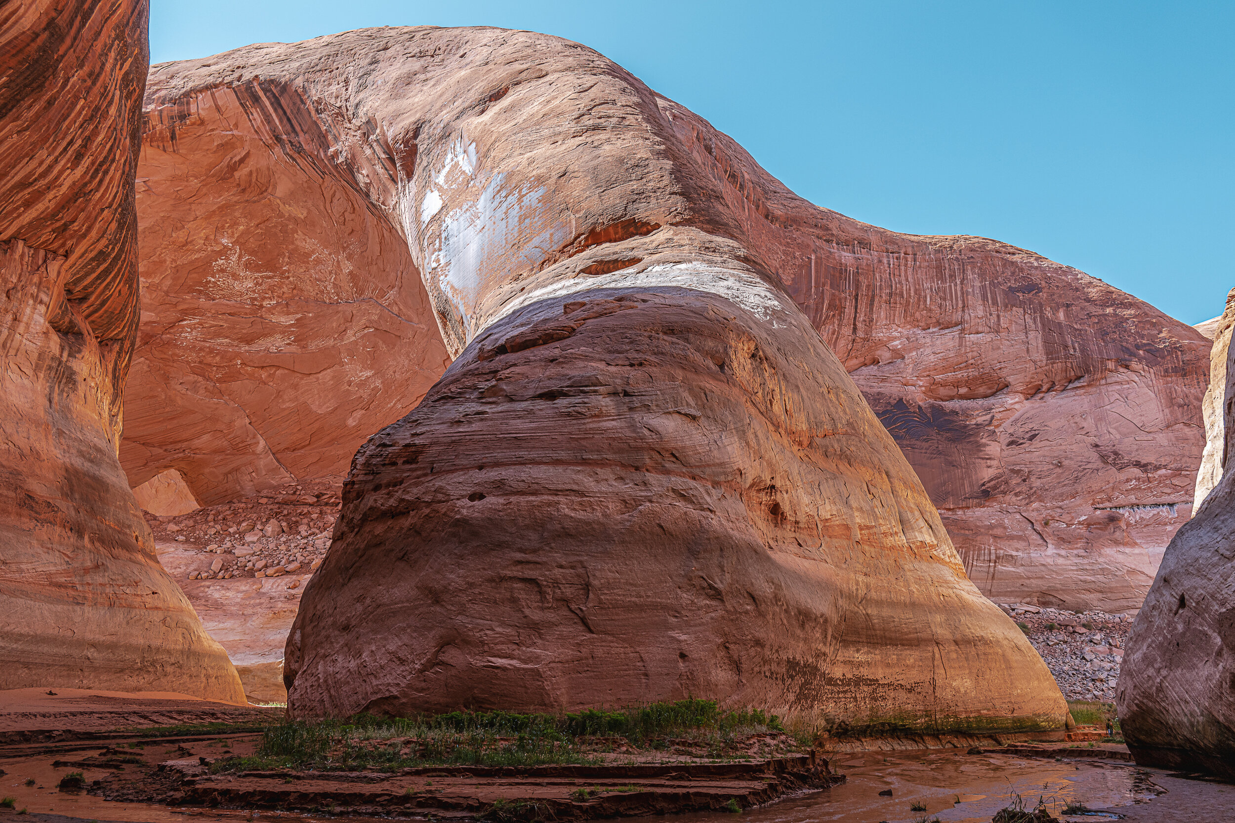 In Davis Gulch 3, Glen Canyon