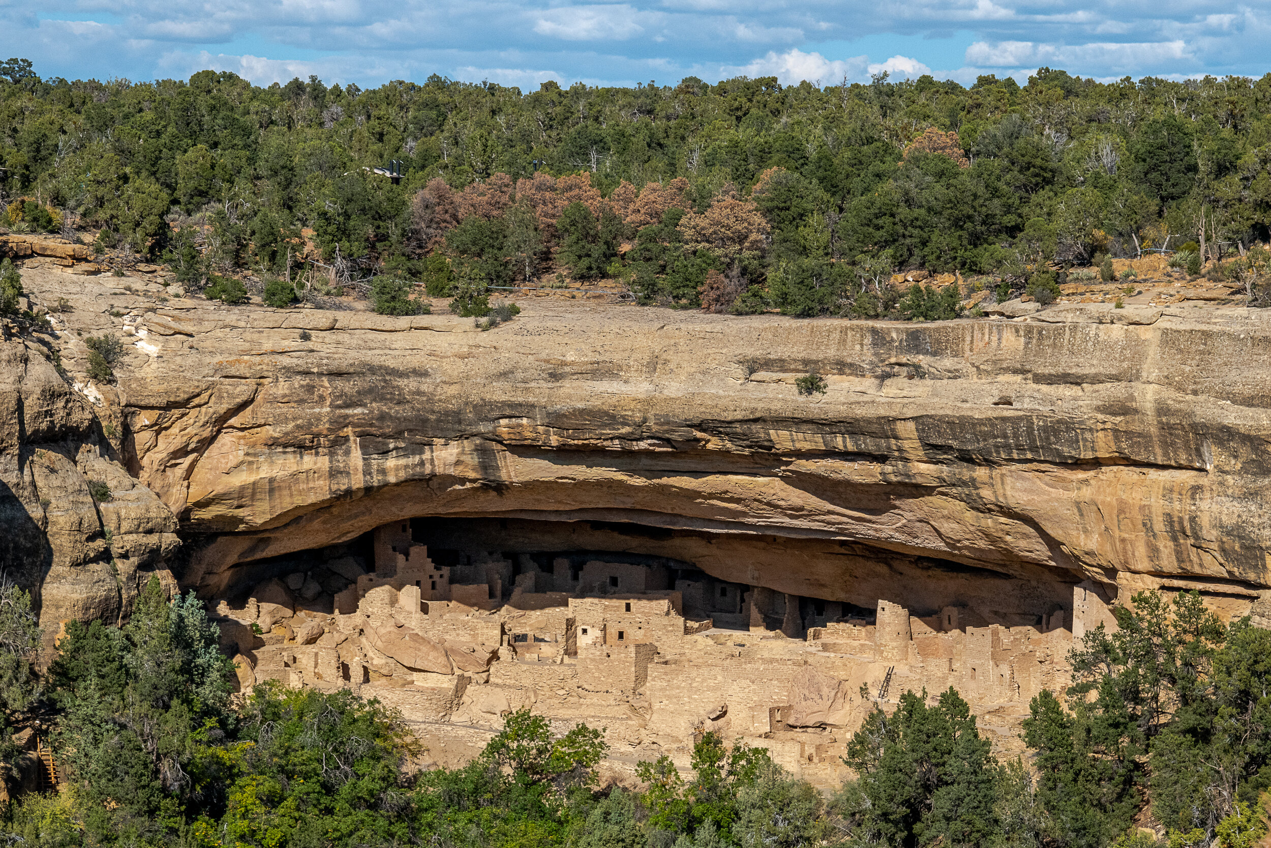 View of Cliff Palace, Mesa Verde