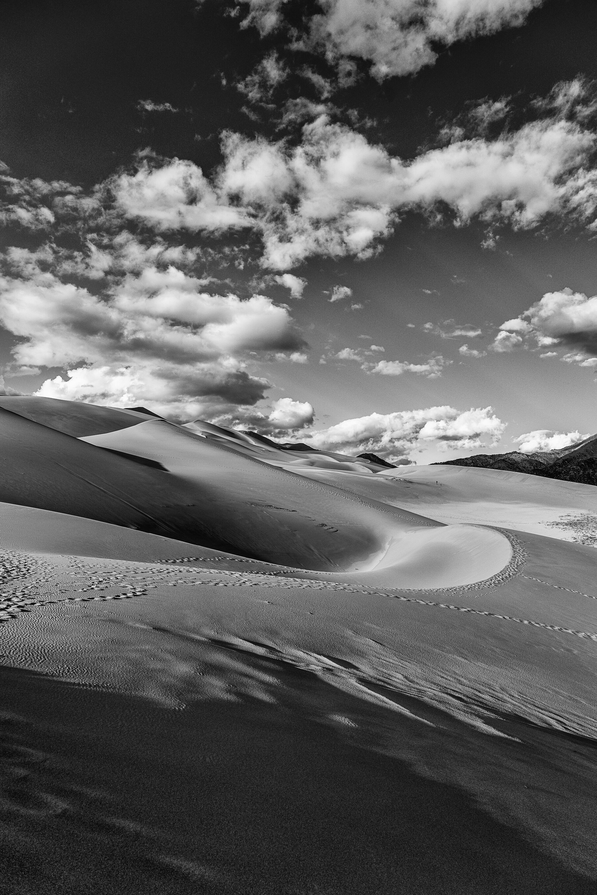 Great Sand Dunes National Park 2