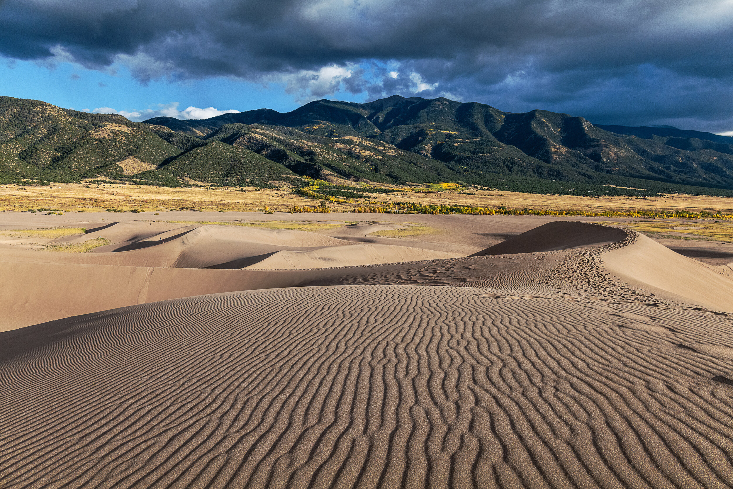 Great Sand Dunes National Park 5