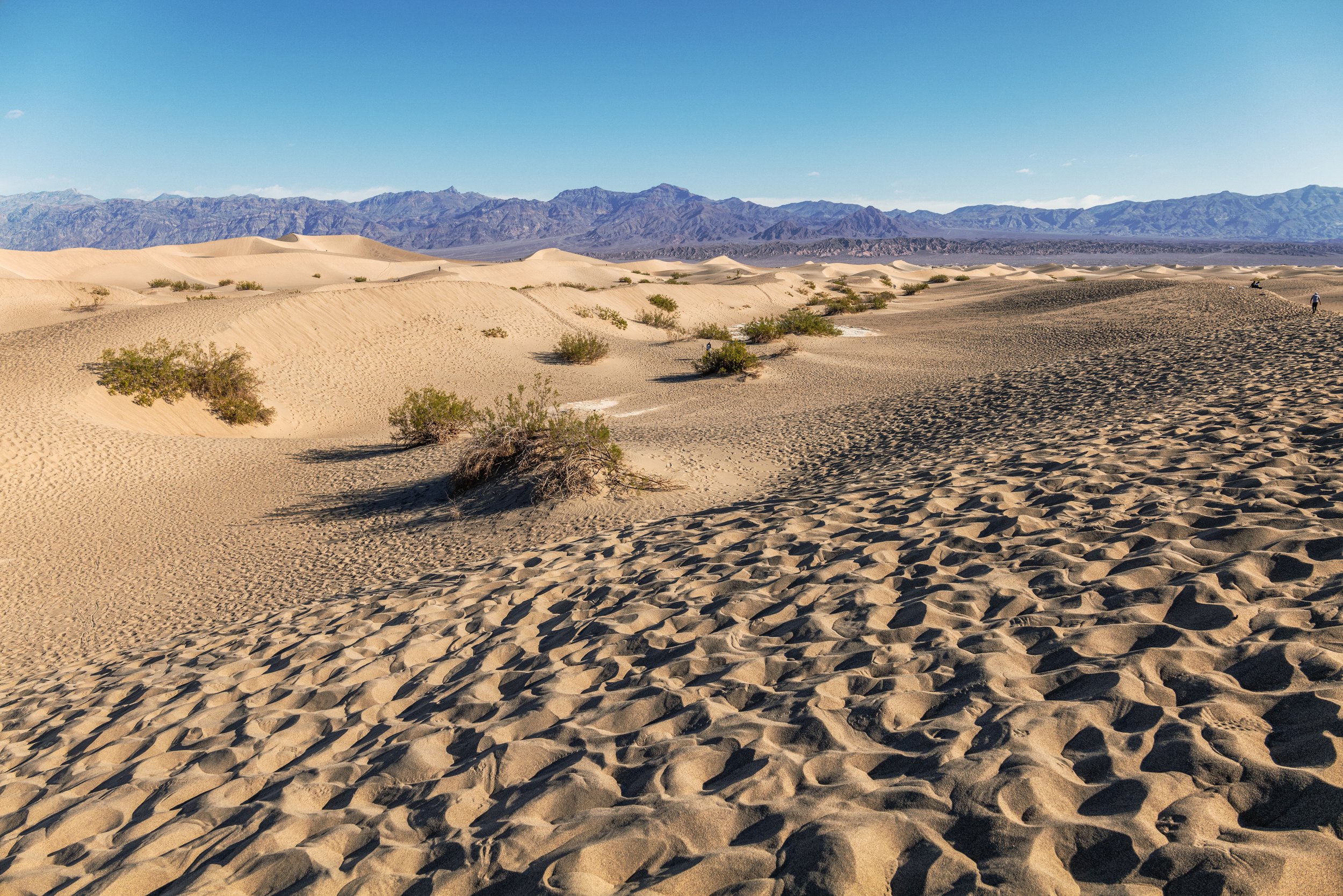 Mesquite Dunes, Death Valley