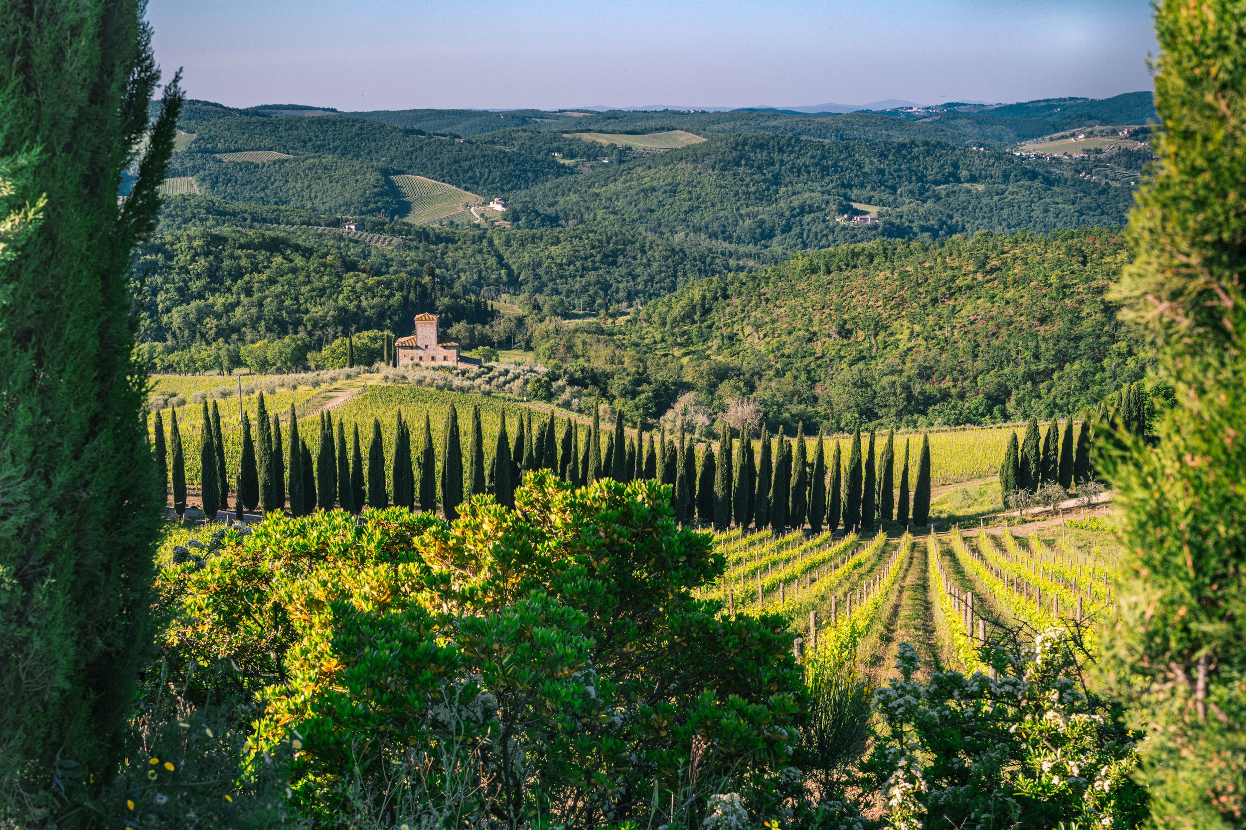 Chianti, Tuscany.