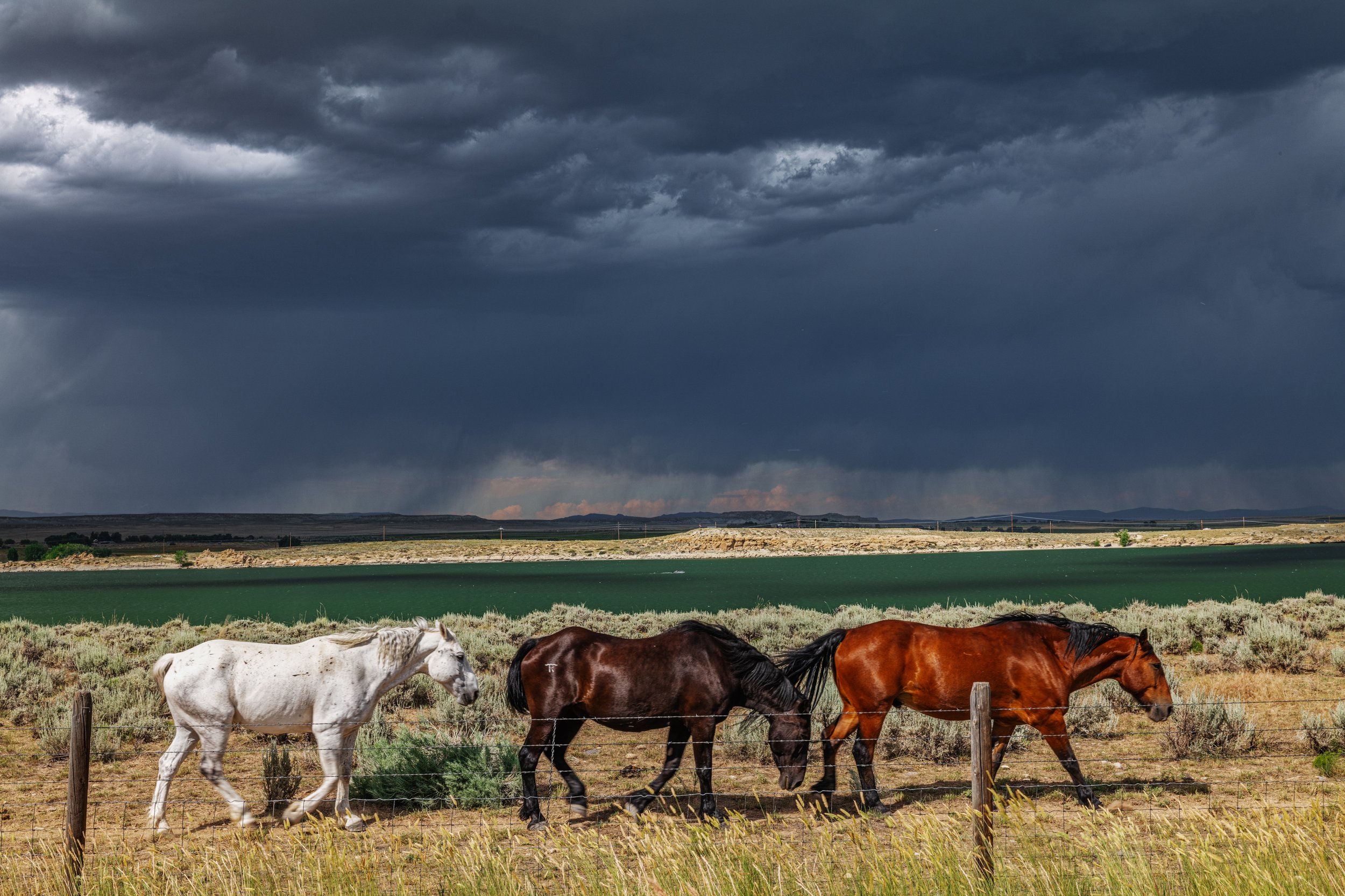 From Jackson Hole in Color