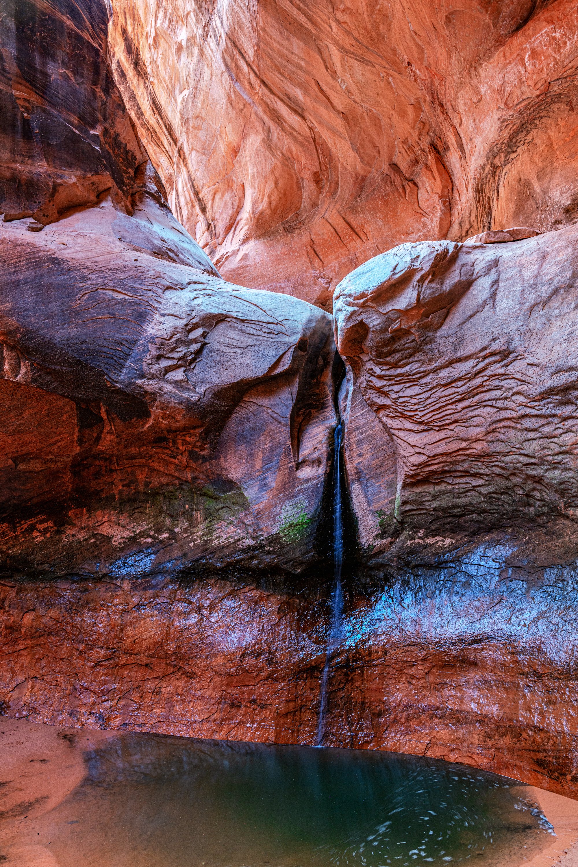 From Cathedral in the Desert 2021