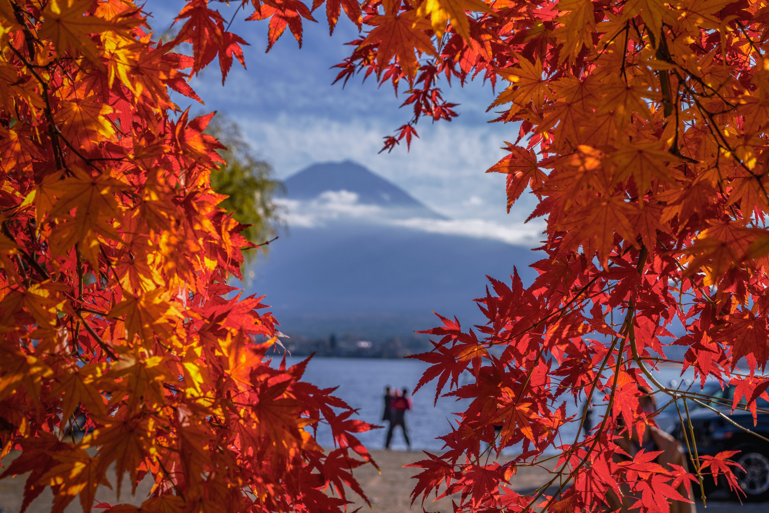 From the gallery entitled Tokyo and Kyoto in Autumn
