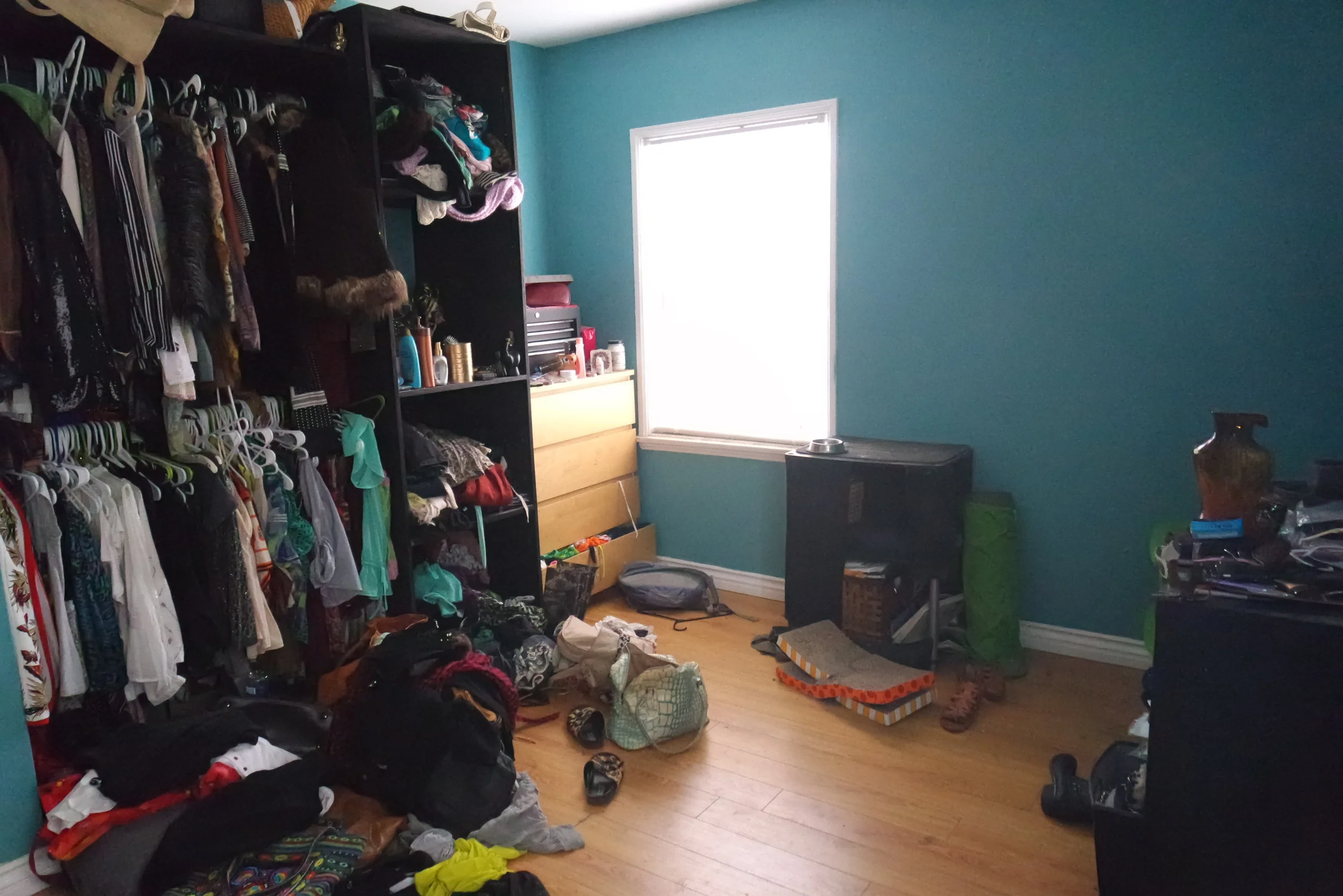 Before - Closet 1