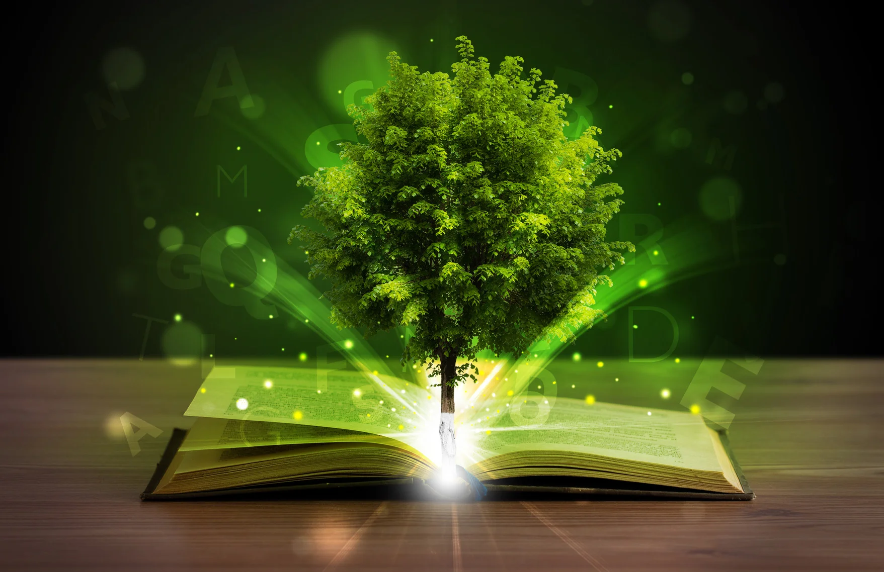 photodune-5865979-open-book-with-magical-green-tree-and-rays-of-light-m.jpg