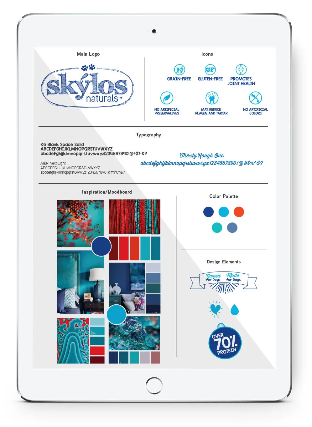 SkylosiPad2WebBrandingExamples.jpg