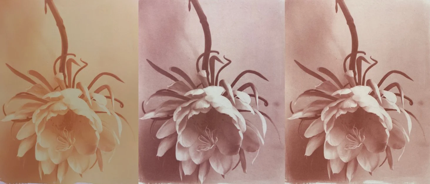 Printing with Copper: The Cuprotype Process: Thursdays, March 12 - April 2