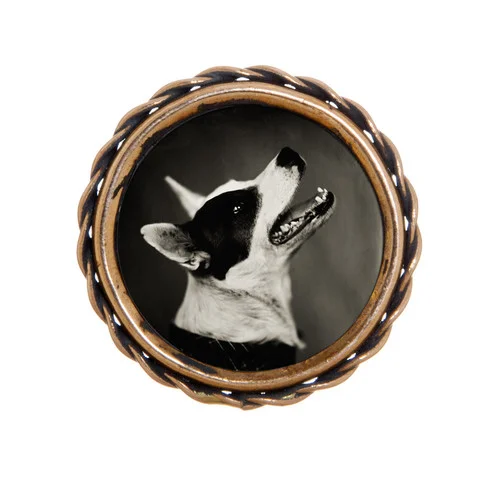 Vintage Pin Tintype Session - #2