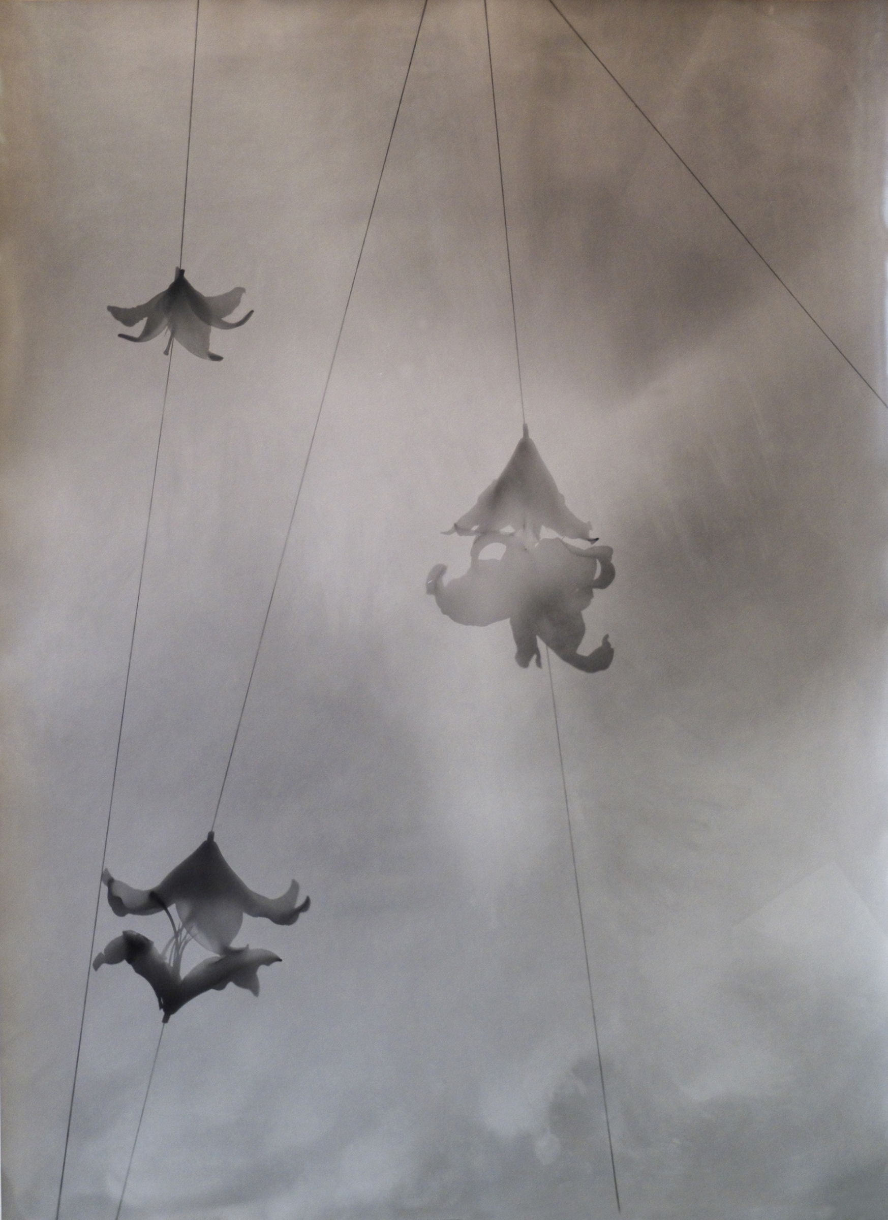 Image © Kunié Sugiura.
