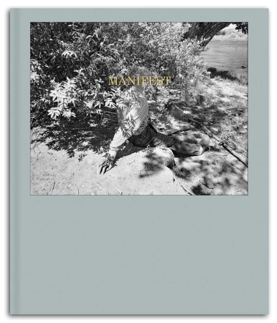 Book Manifest by Kristine Potter — Penumbra Foundation