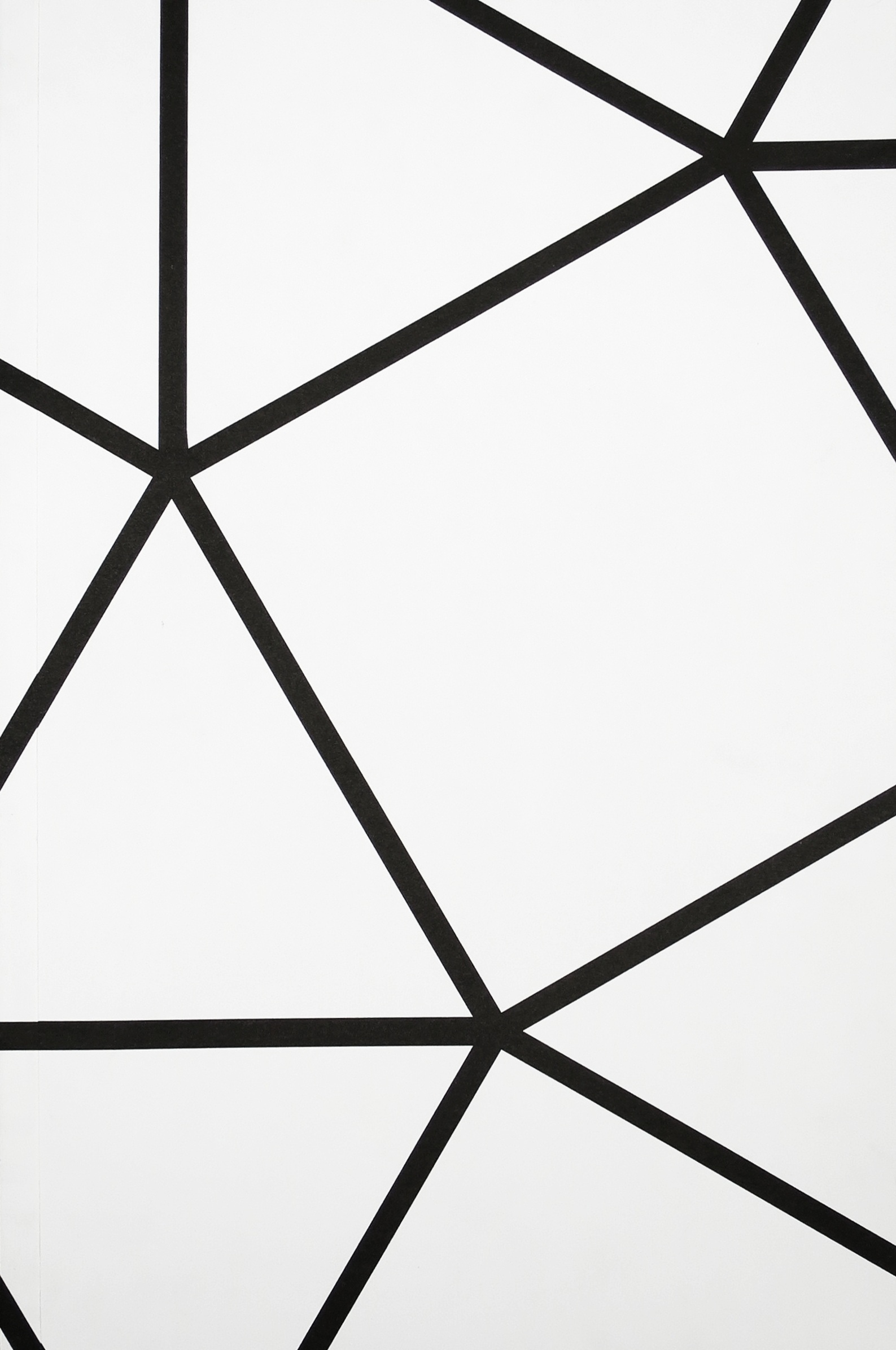 Shape_Shifting-4.jpg