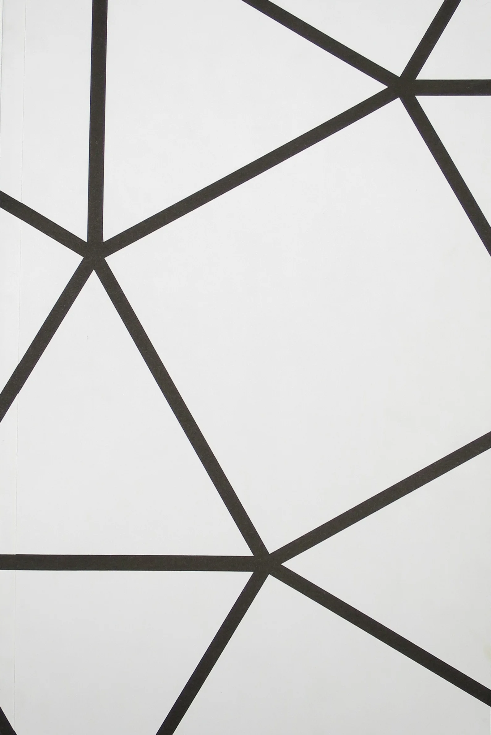 Shape Shifting by Theresa Ganz