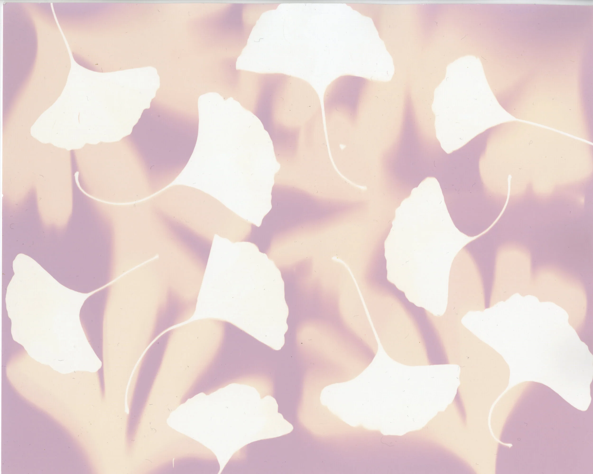 lumen_class_oct 17_Maya.jpg