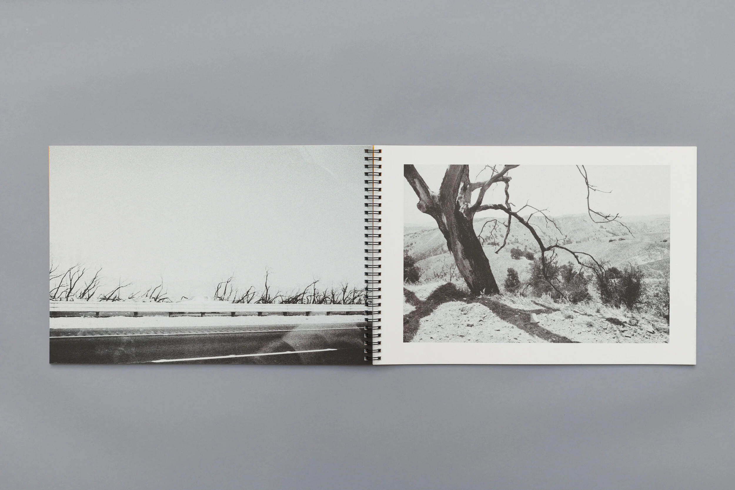 2021 08 30 PF RISO RES BOOK DOC3842.jpg