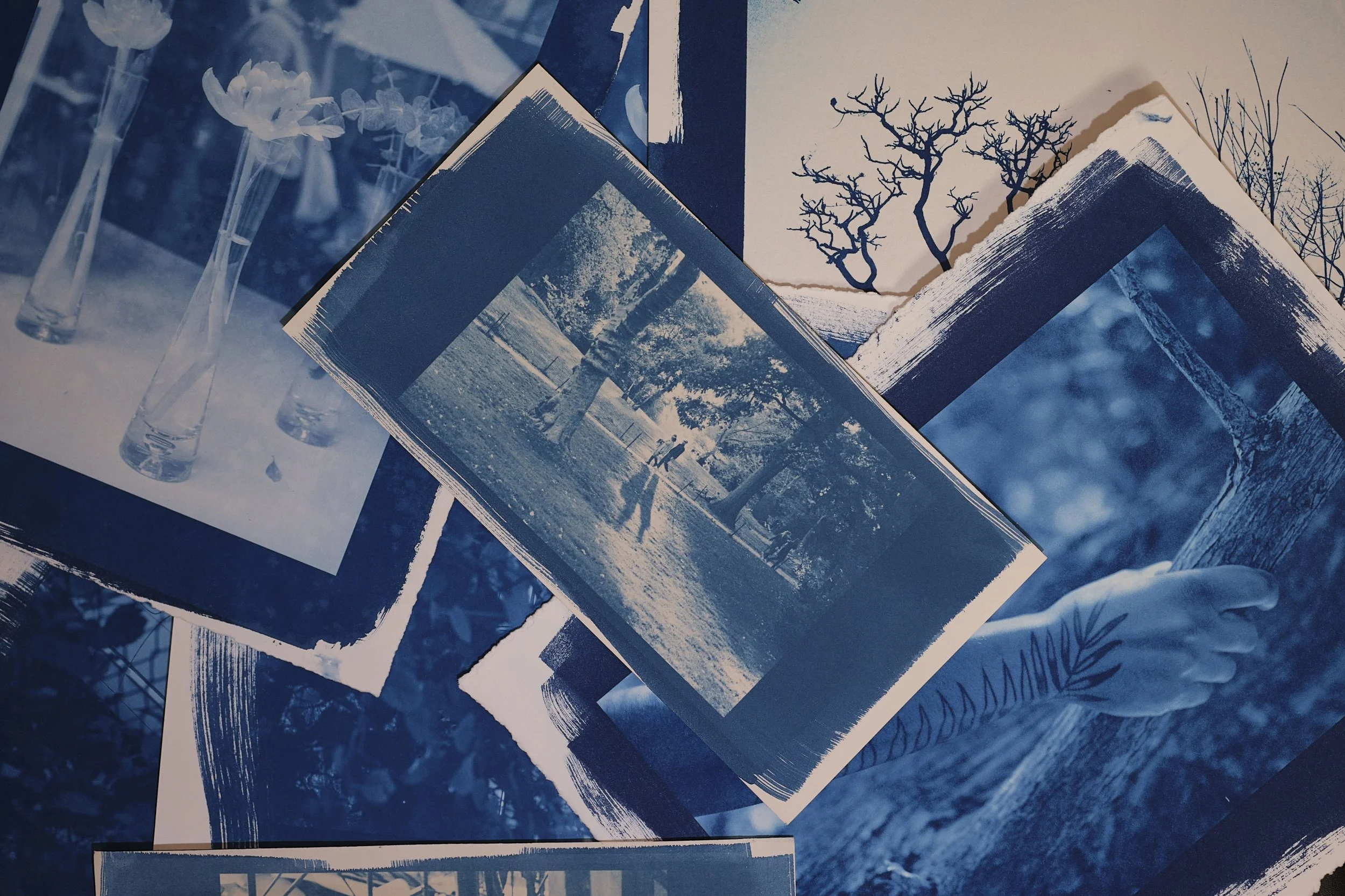 Mini Series: Cyanotype with Jarrett Esaw: January 15