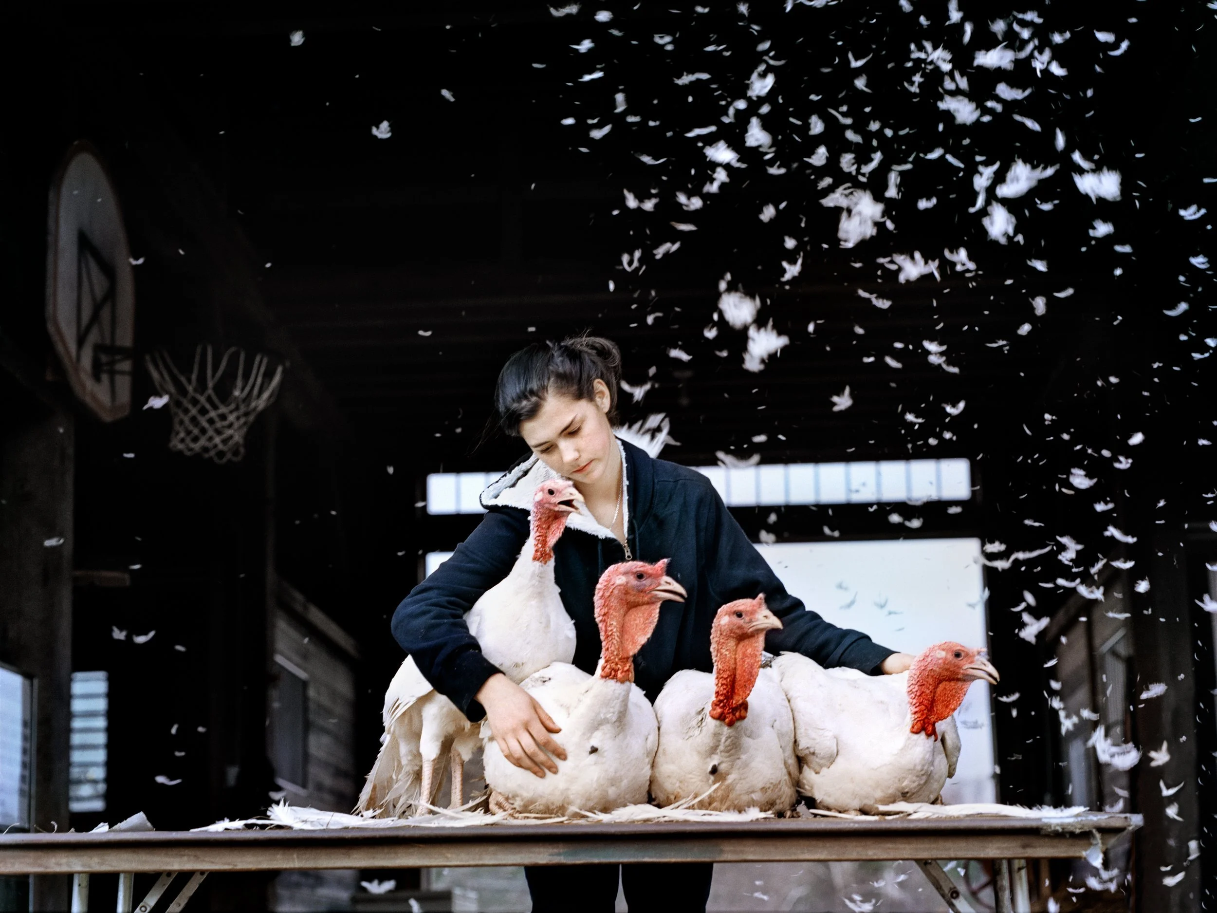 Developing a Research Based Photo Practice with Holly Lynton: May 16 & 17