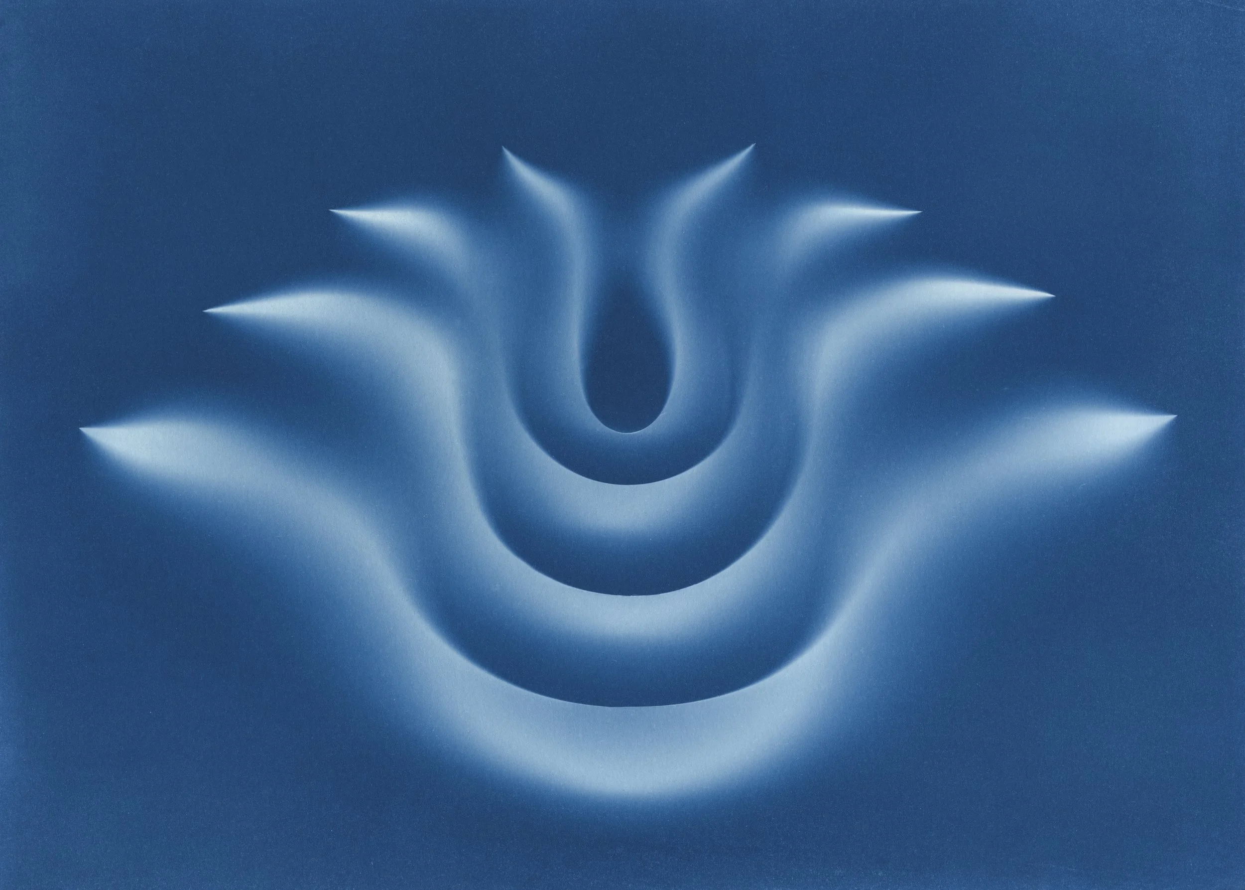 ella_barnes_cyanotype-48.jpg