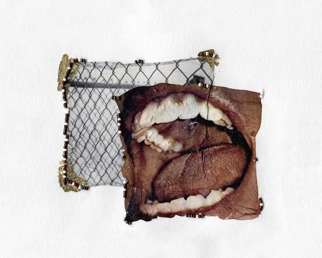 05_StretchofmySkin_emulsionlift Large.jpeg