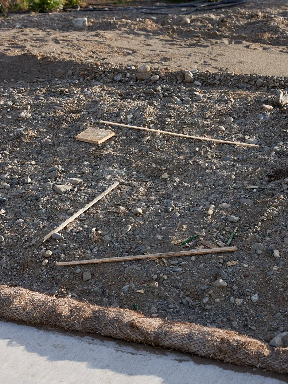 Yogan Muller_Photography and Ecology_04.jpg