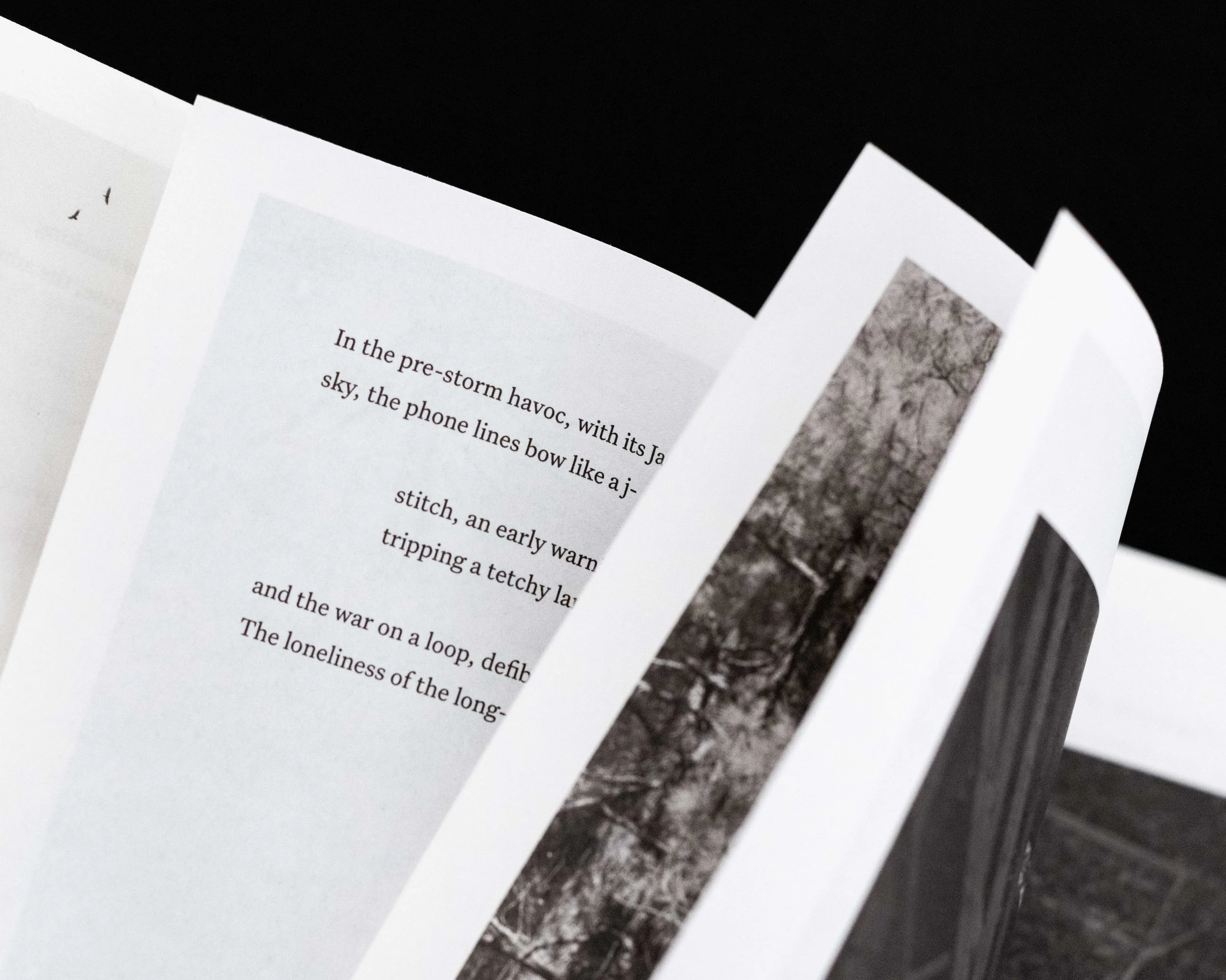 20260323_A_ZAWACKI-12 copy.jpg