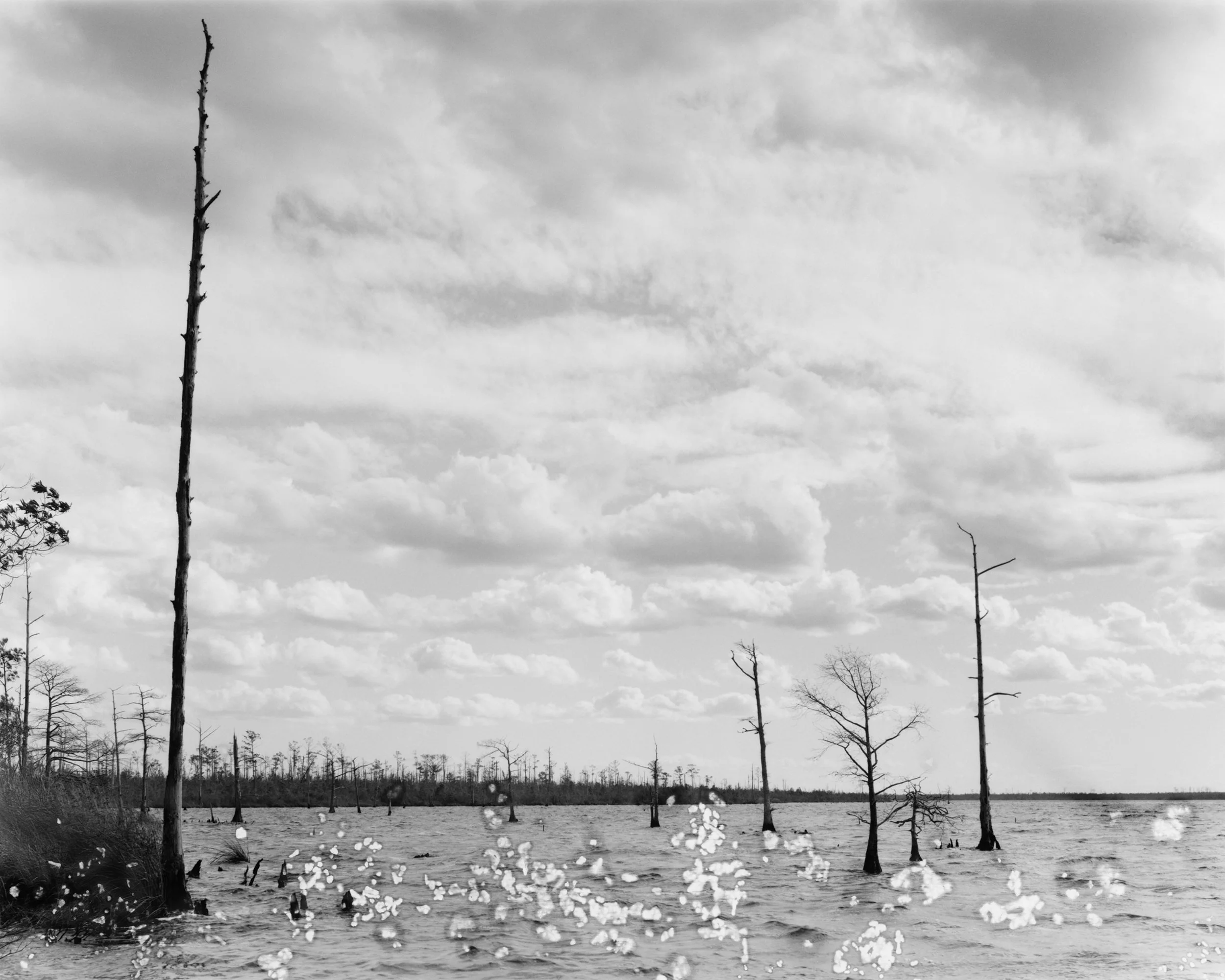 GW_The Frying Pan, NC (1).jpg