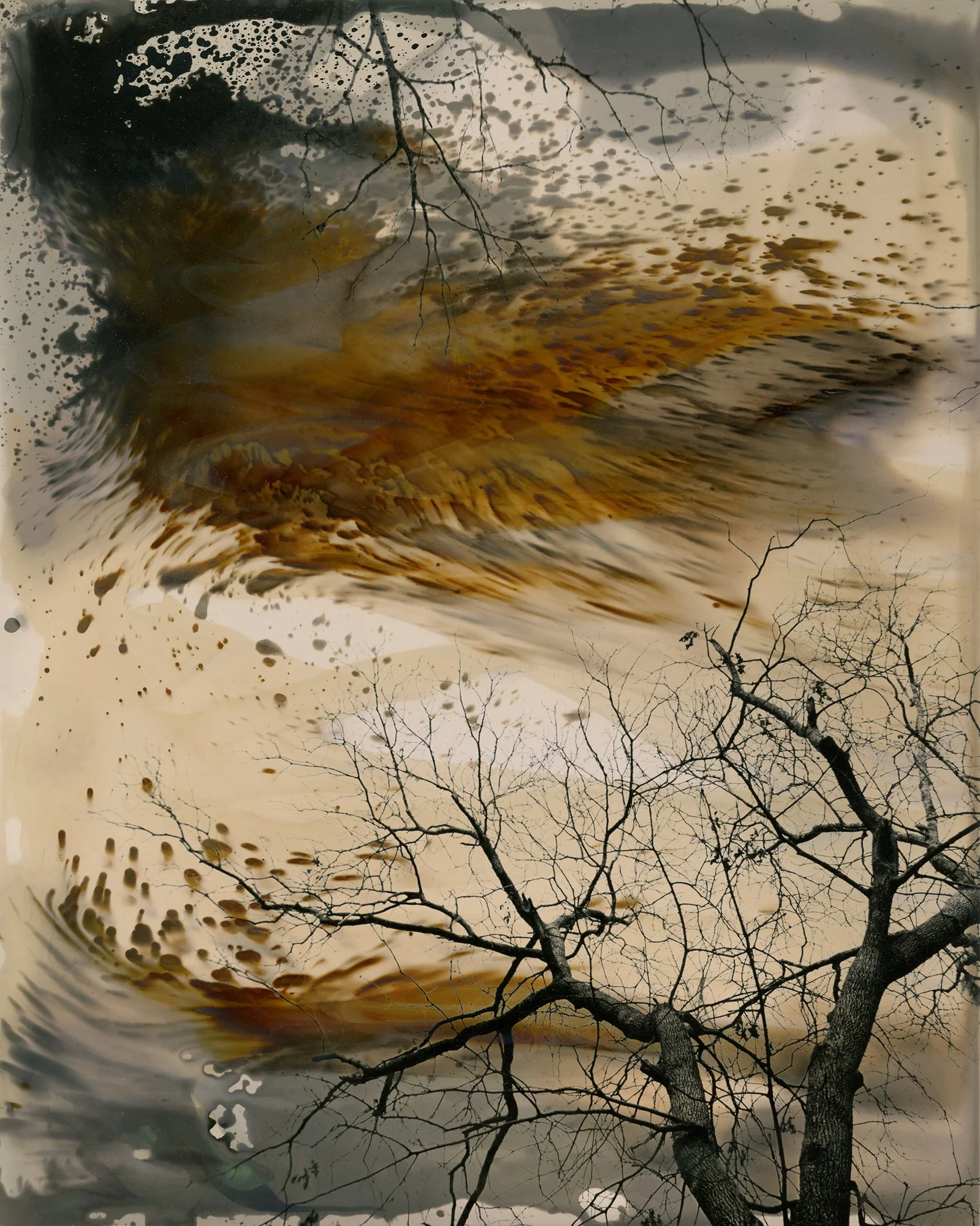 chromo_tree002_2000px.jpg