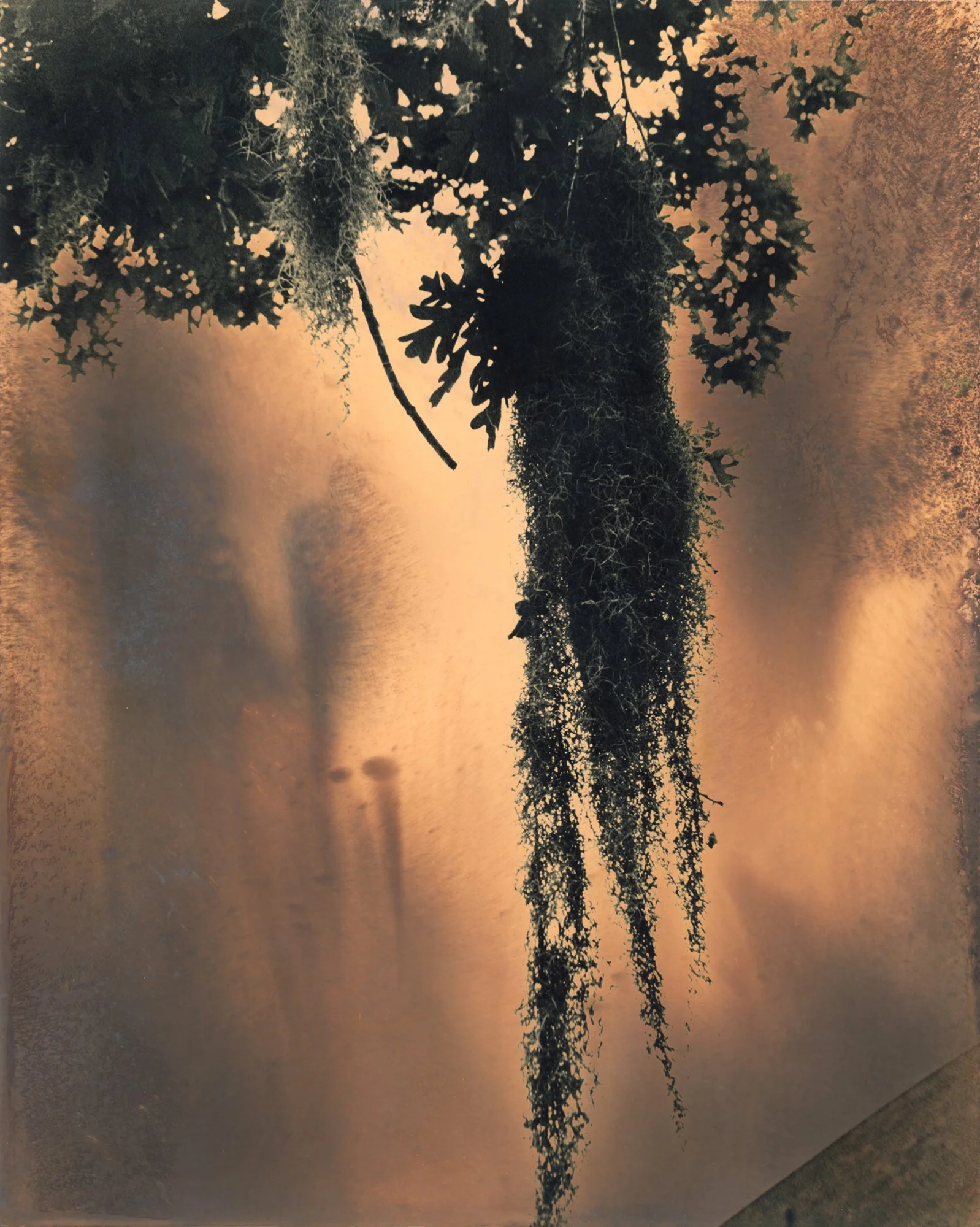 Chromo with Bridget Conn: Sundays, October 4 - 25