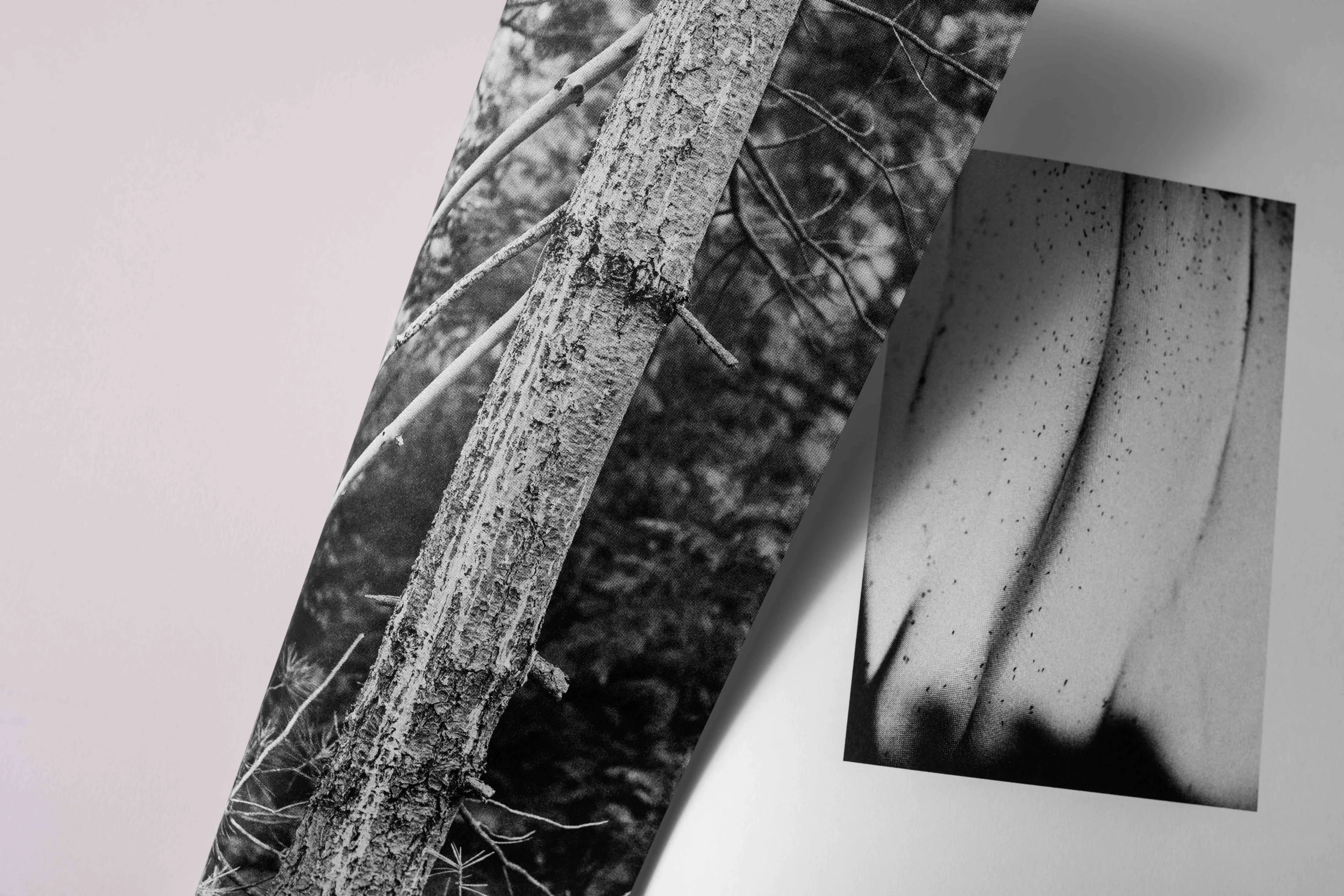 In the Fold | Photobook Forum 2026