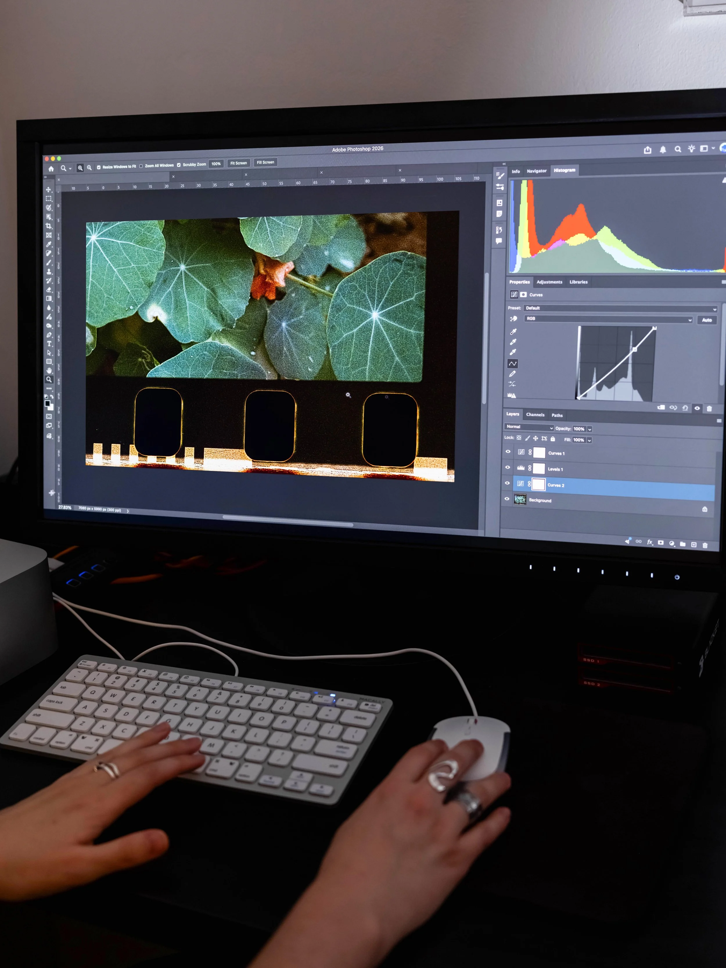 Analog to Digital: Post-Processing Workflow with Lavonne Hall: Sundays, December 6 & 13