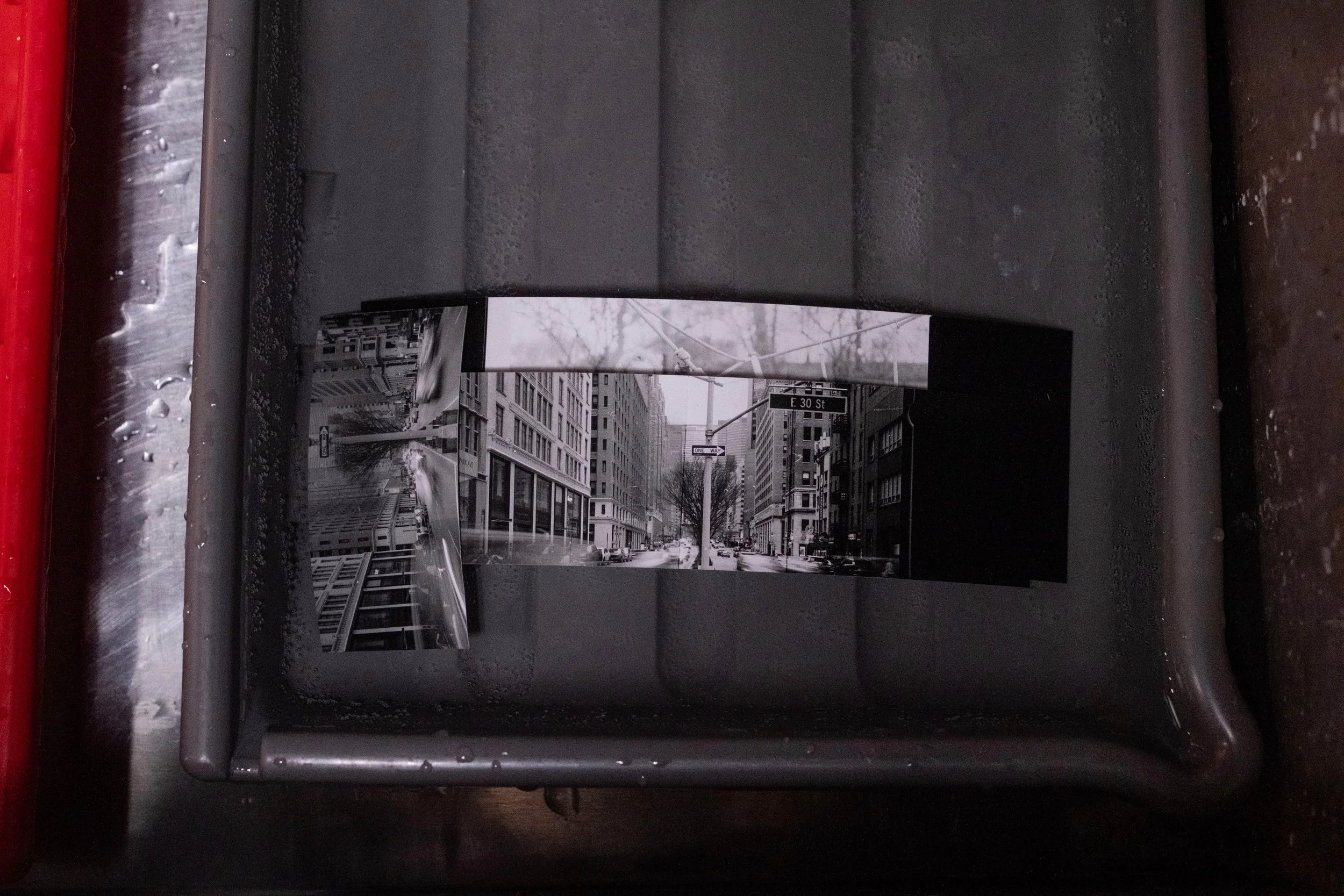 20250315_INTRO_LARGE_FORMAT_S_SIROTA-2 copy.jpg