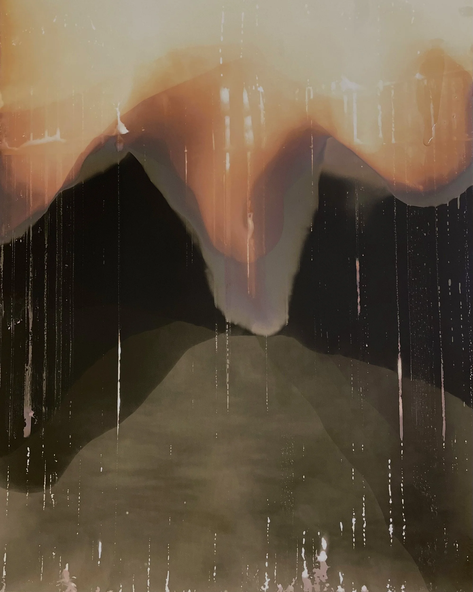 Chemical Painting with Rose Frisenda: February 21