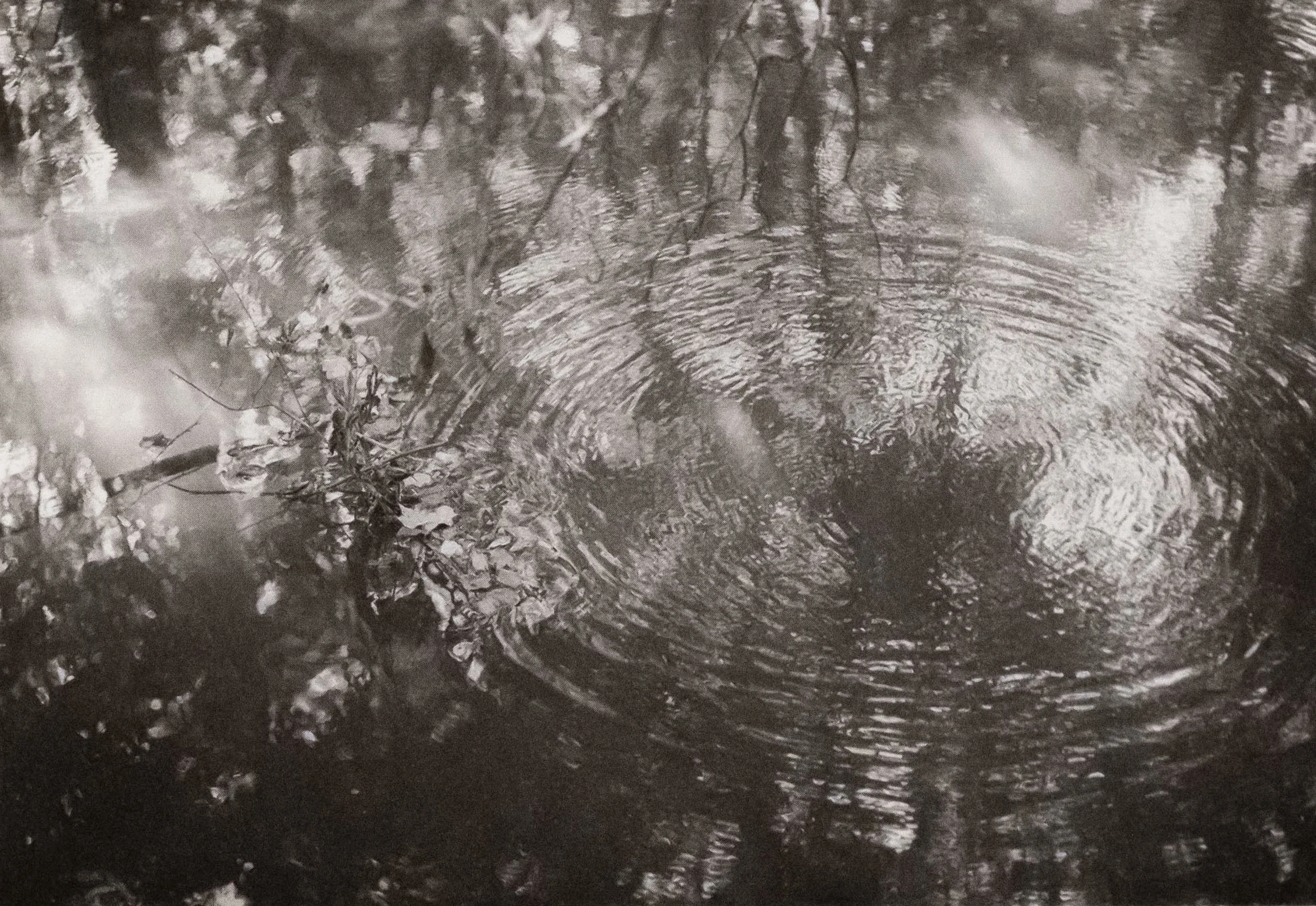 Poetry + Photography with Andrew Zawacki: Saturdays, June 6 - 27