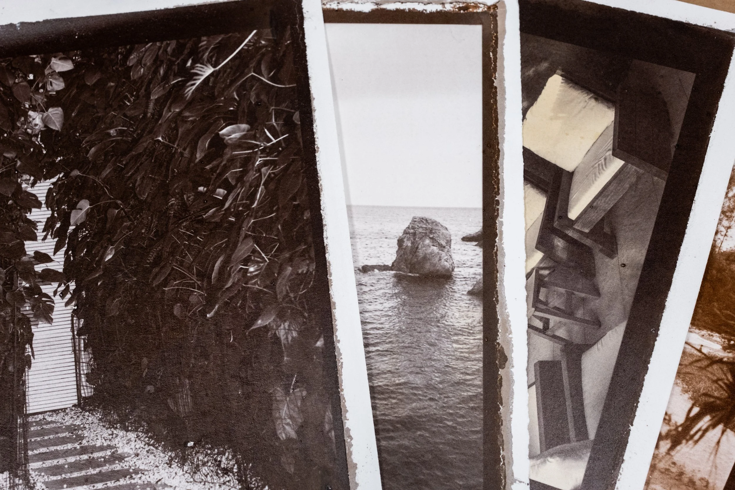 Intro to Alt Process: Salt and Silver with Morgan Post: Tuesdays, March 31 - April 21