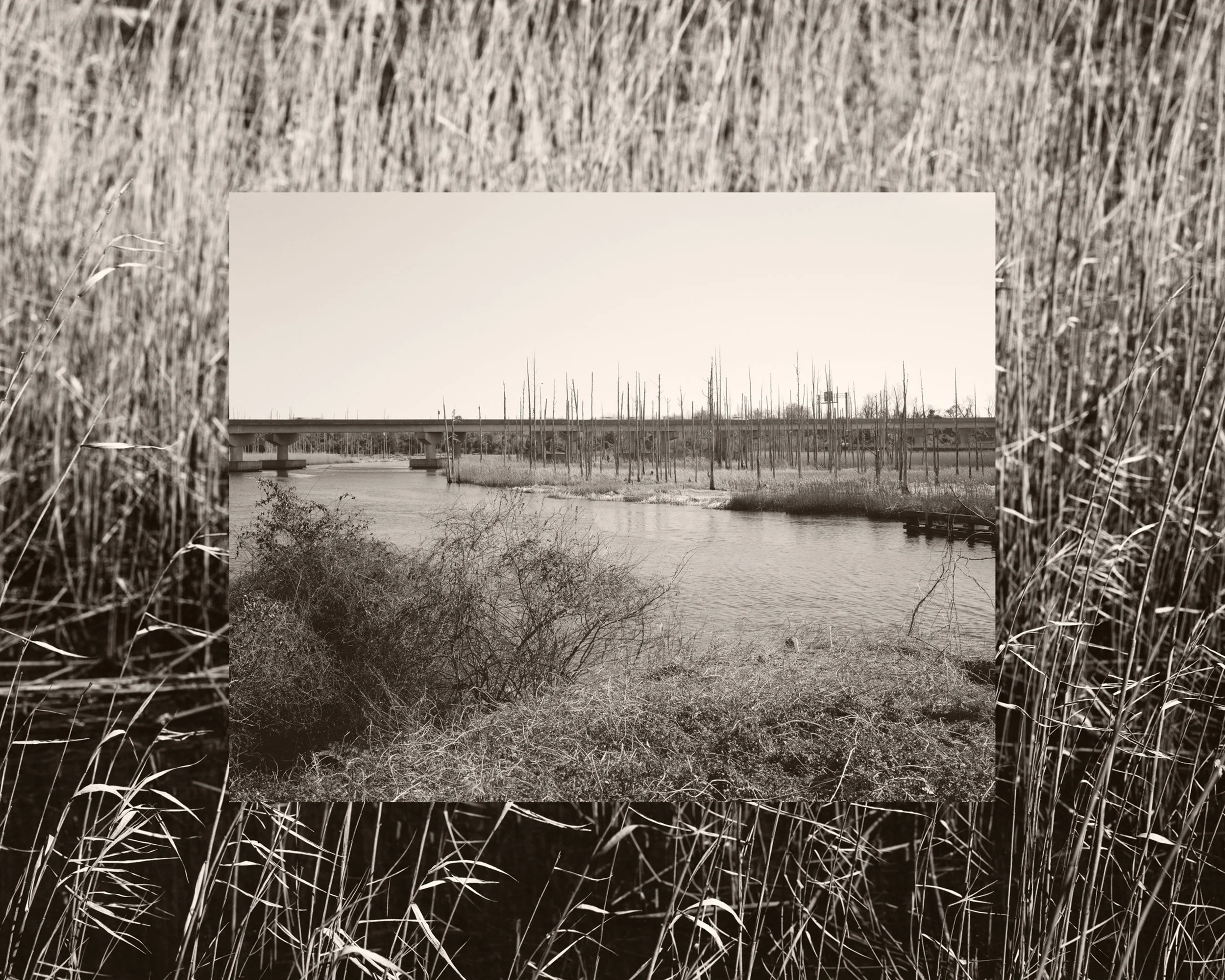 GW_Cape Fear River, NC (1).jpg