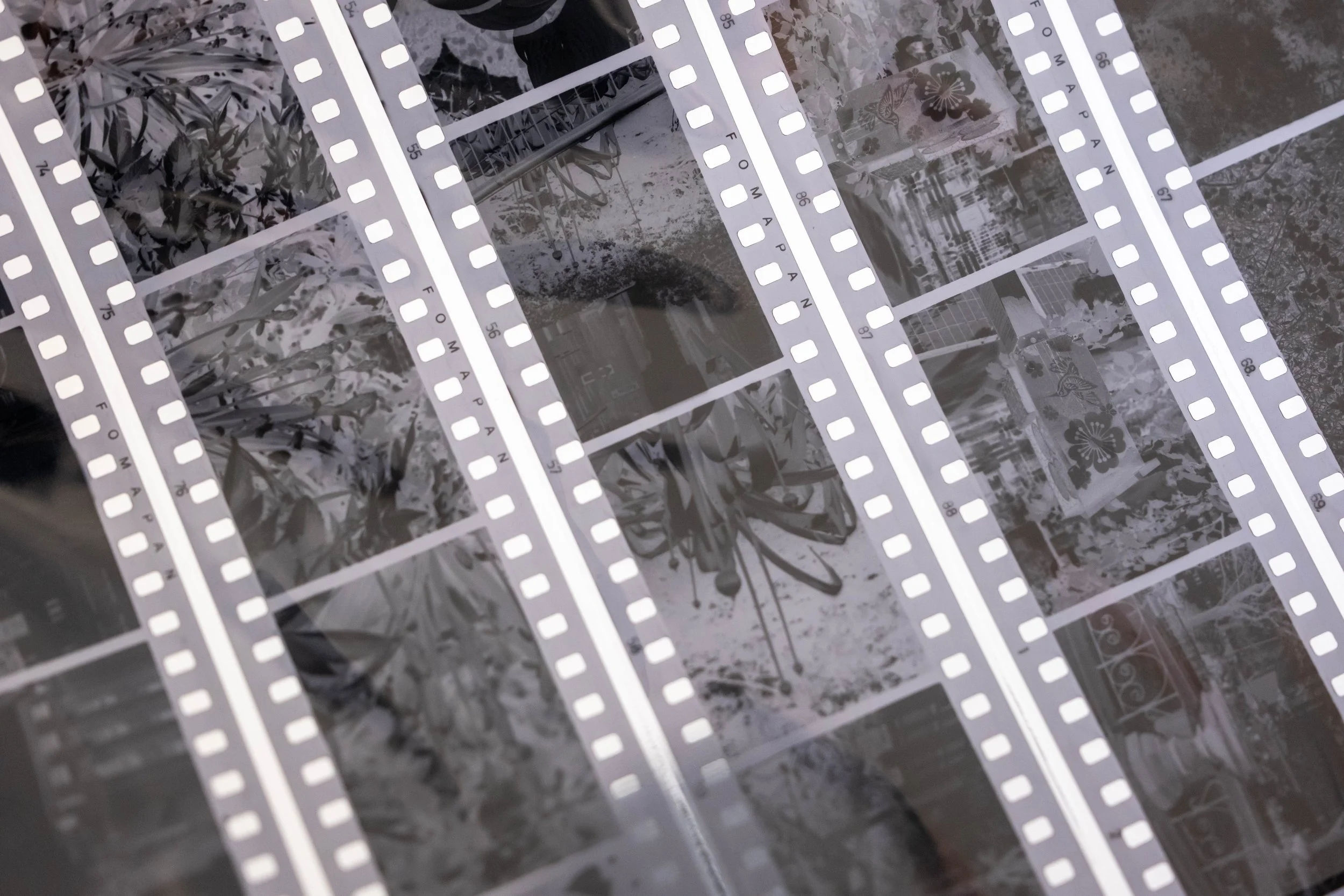 20250501_DEVELOPING_FILM_WITH_CAFFENOL_B_FLETCHER-106.jpg