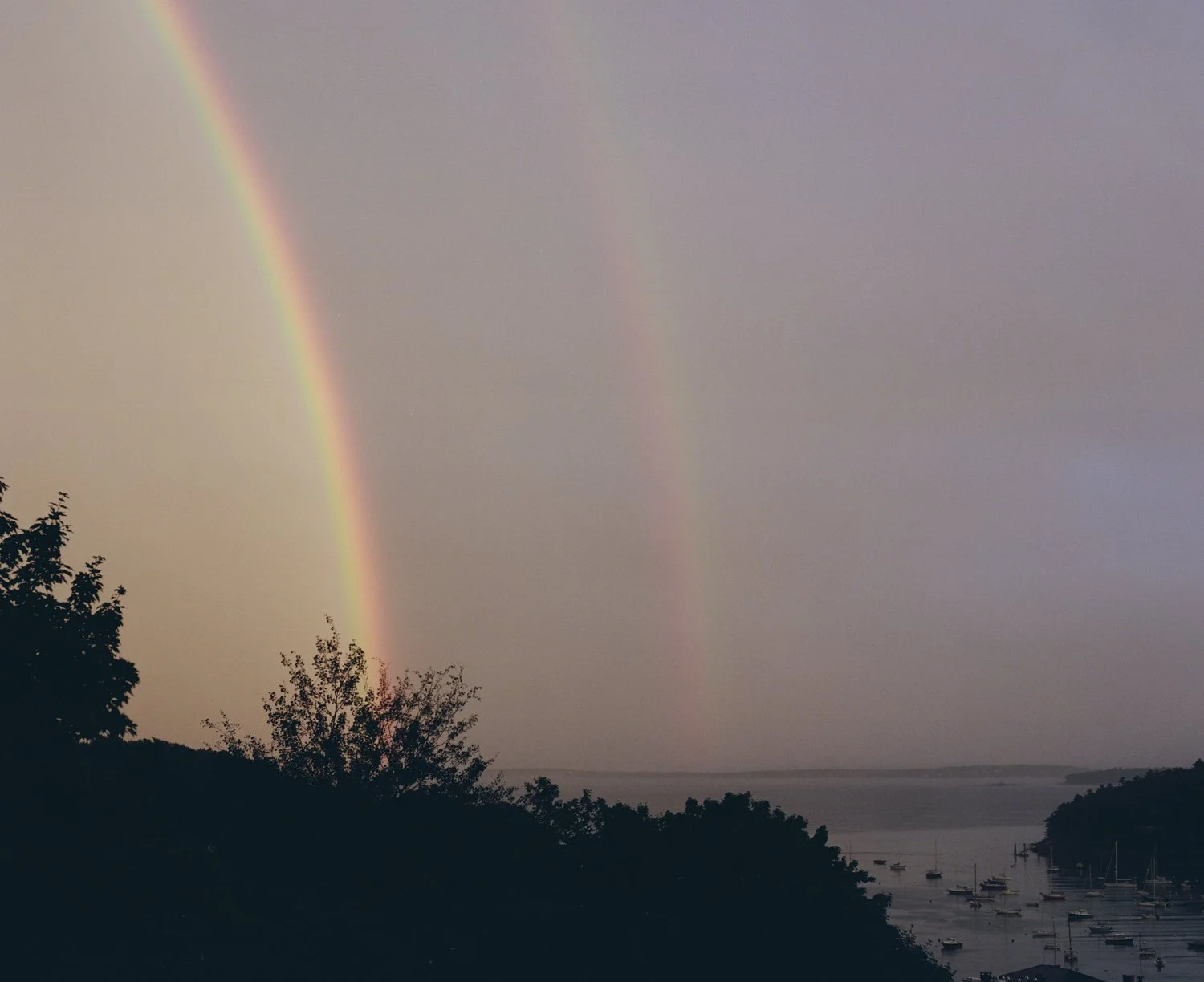 Madeleine Morlet 13 copy.jpg