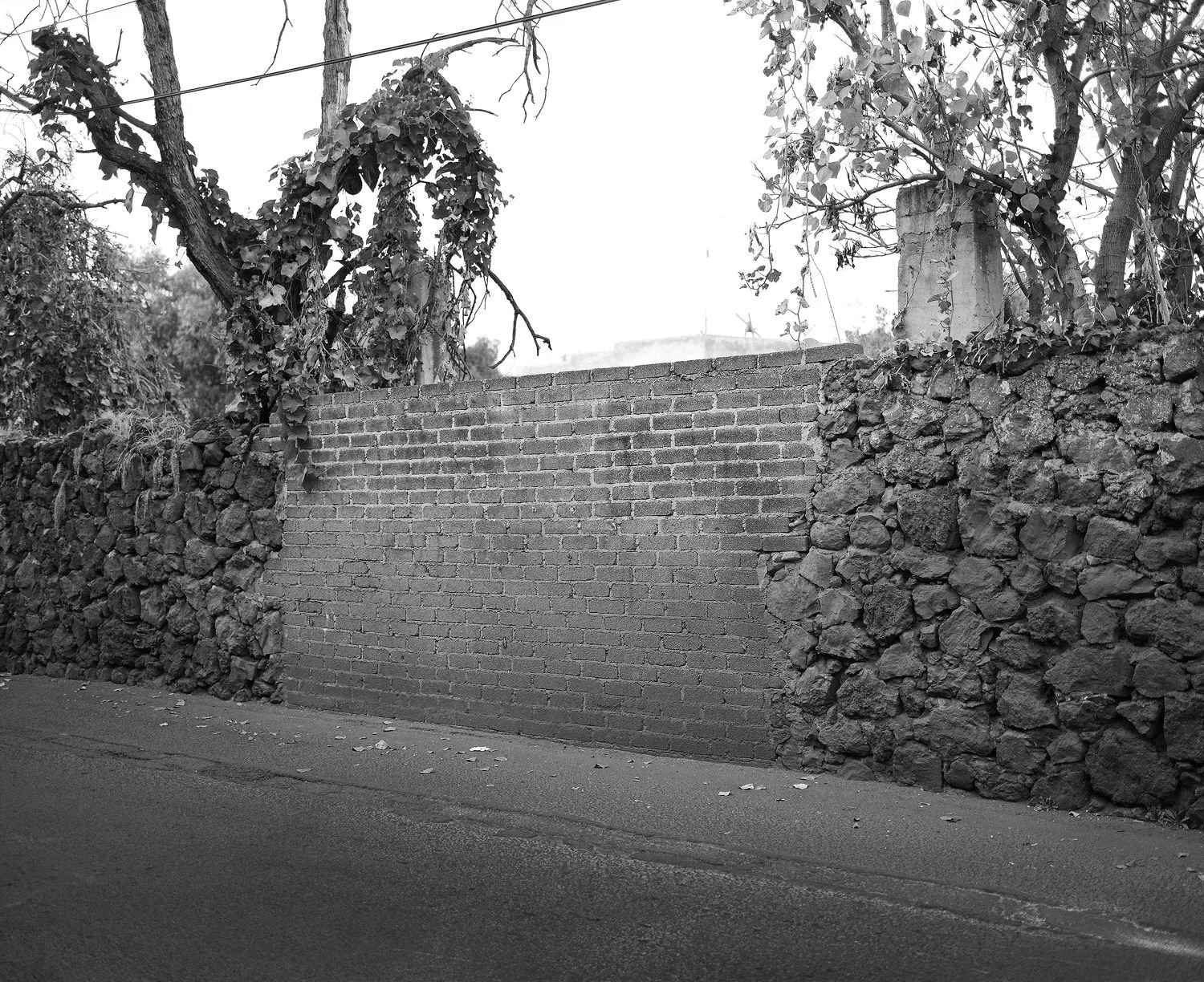 14 - Untitled- Tepepan- Mexico City - 08993b09-c6fd-40a3-9369-895501ab7c45.jpg