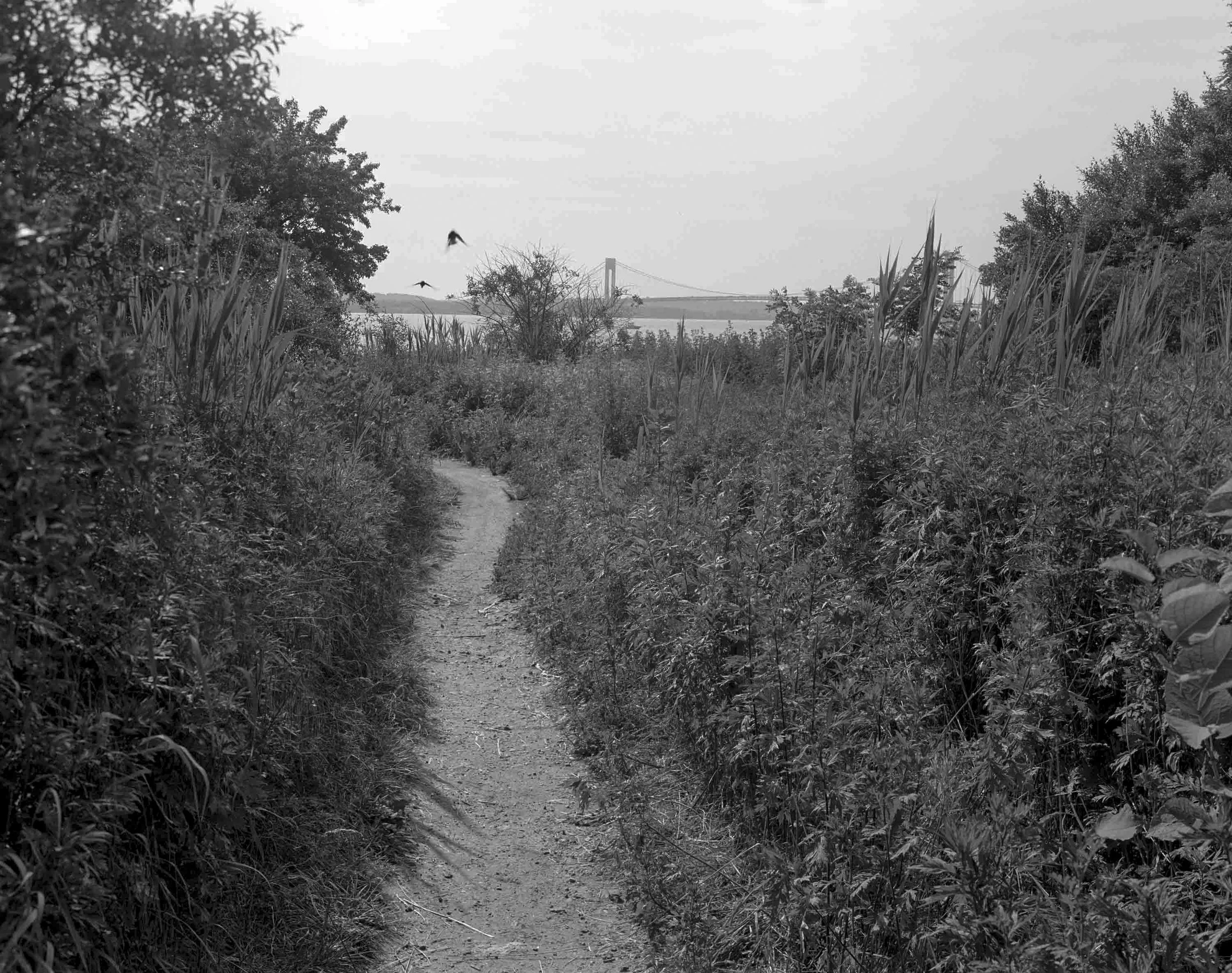 _Aperture Final 2025_.JPG