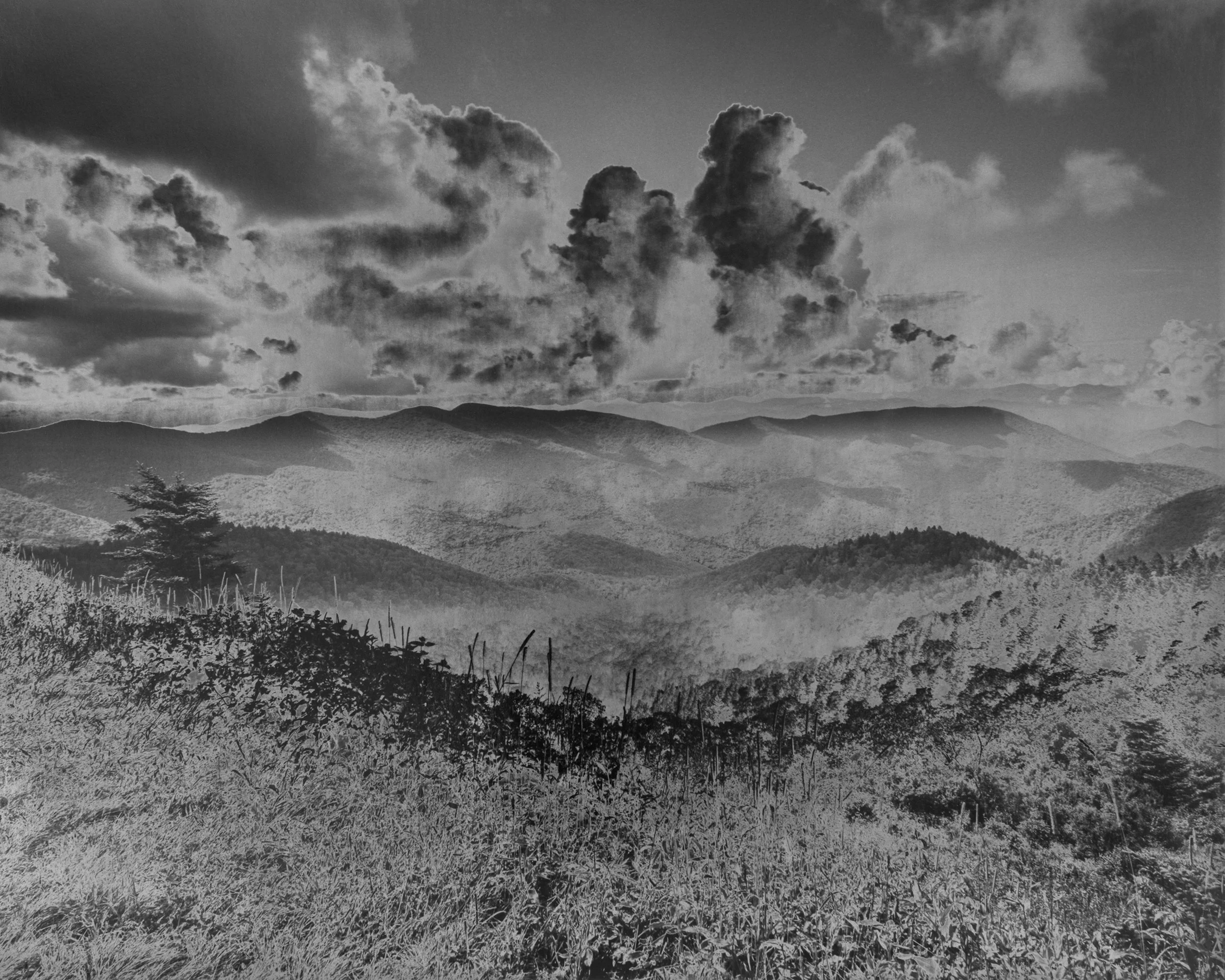 Photography in a Changing Climate with Gesche Würfel: Thursdays, May 7- 28