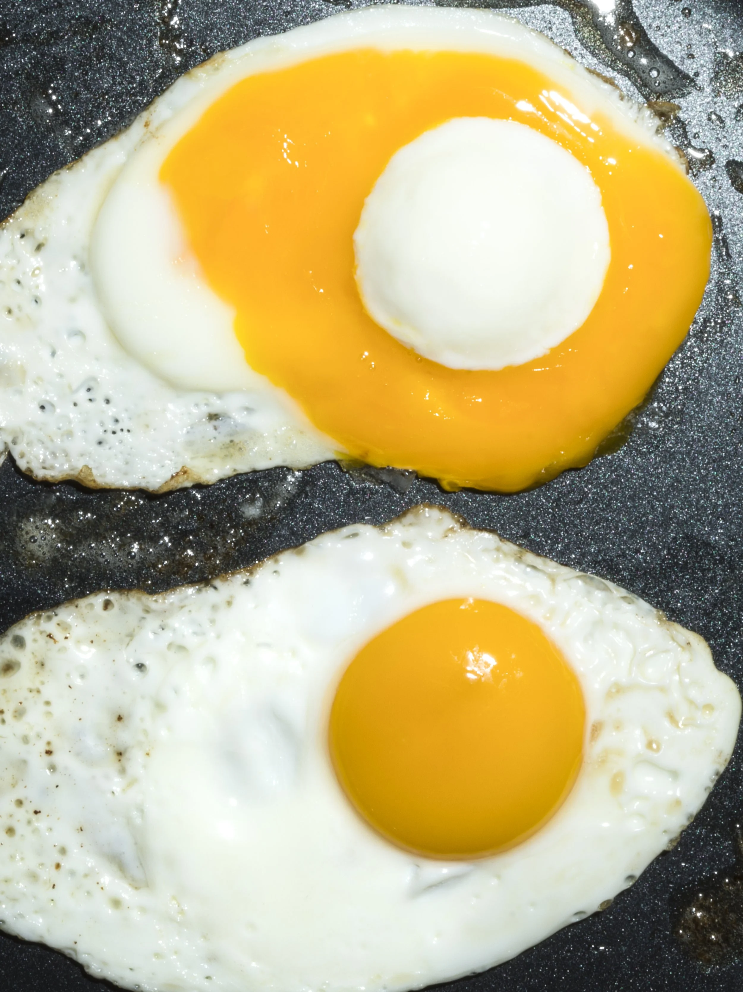 Egg Glitch. 2023. Orejarena & Stein..jpg