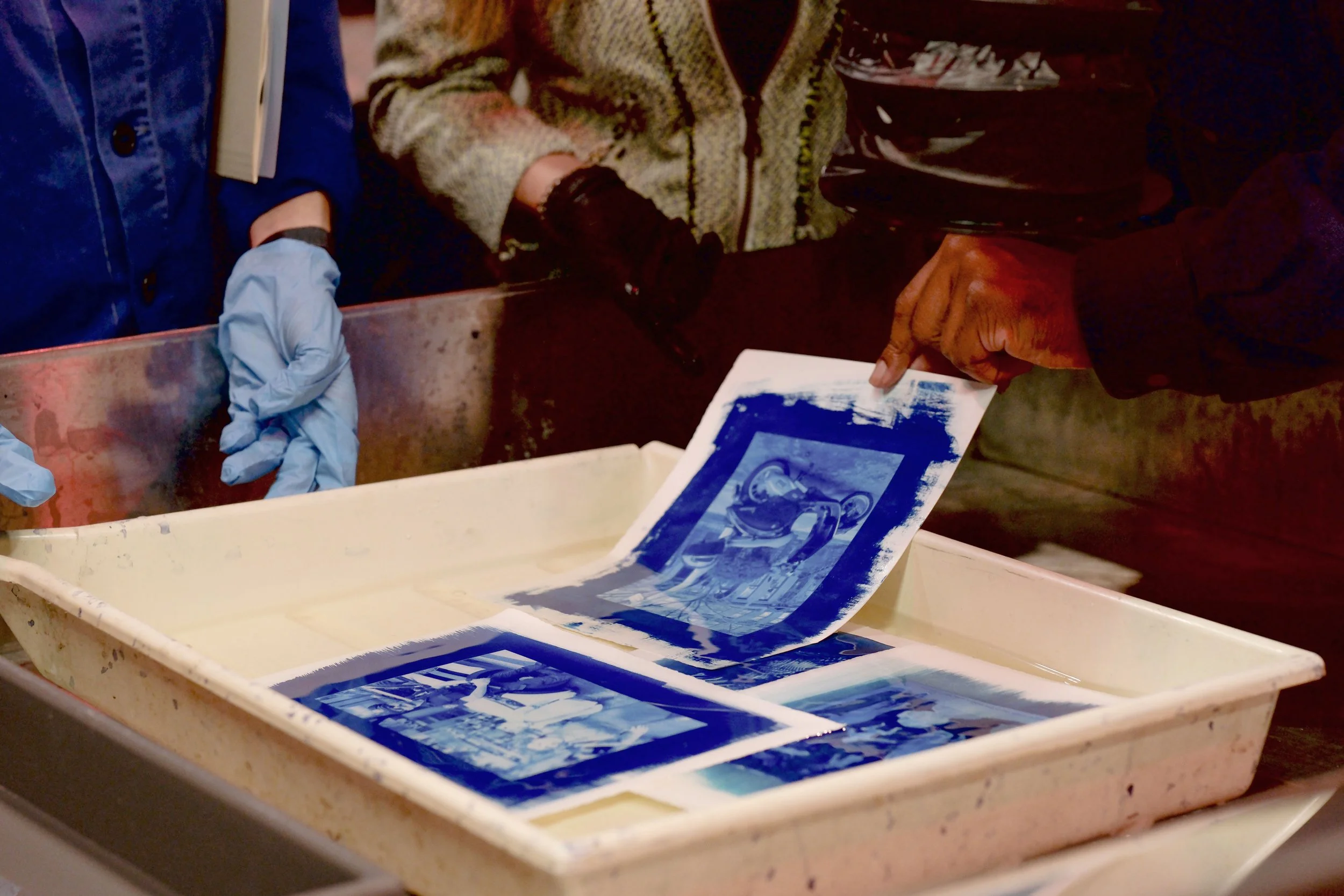 20240919_CYANOTYPE_MINI_SERIES_J_ESAW-10 (1) copy.jpg