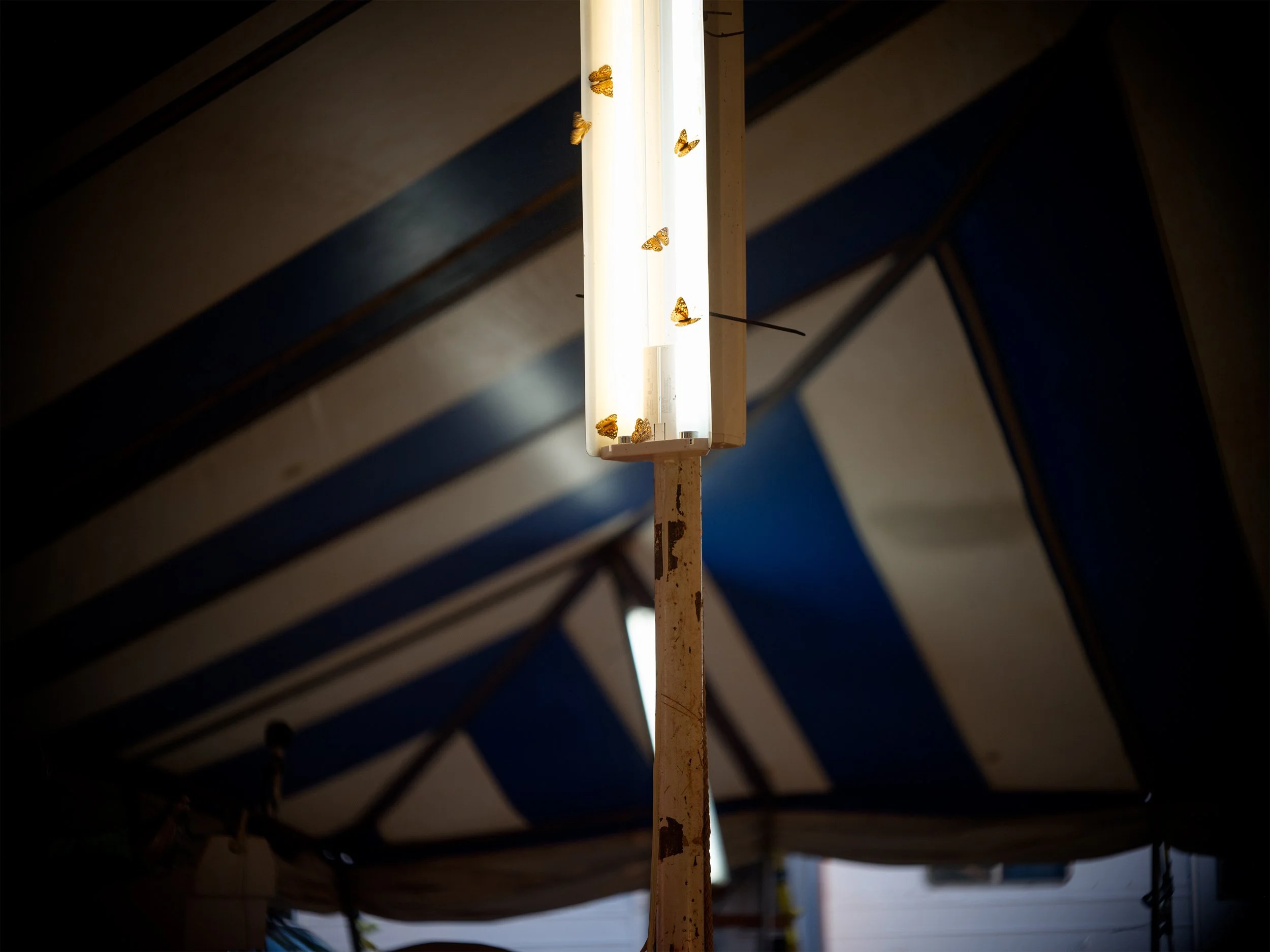 Holly Lynton Beyond the Bounds 15.jpg