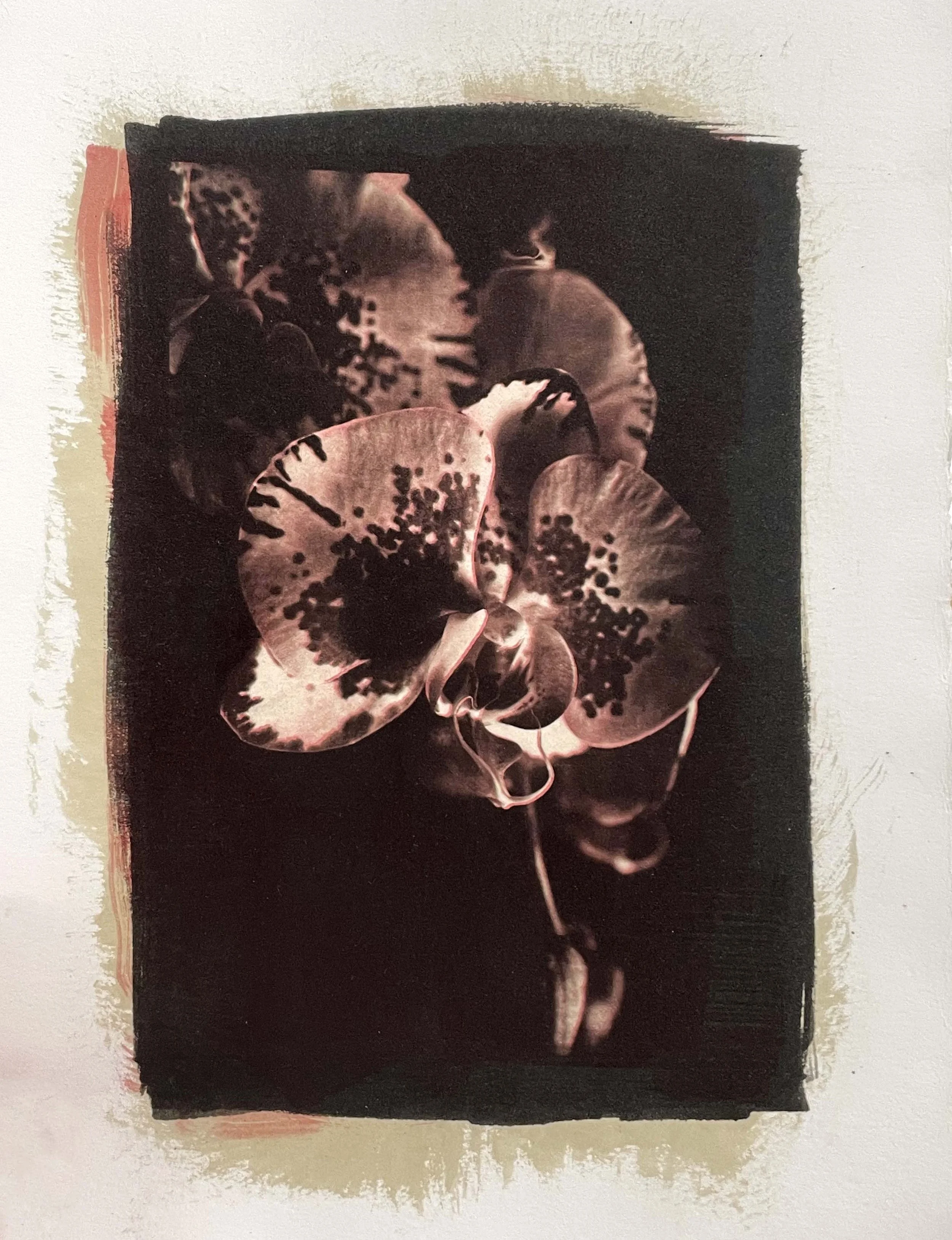 TSUYOSHI HARADA _.jpg